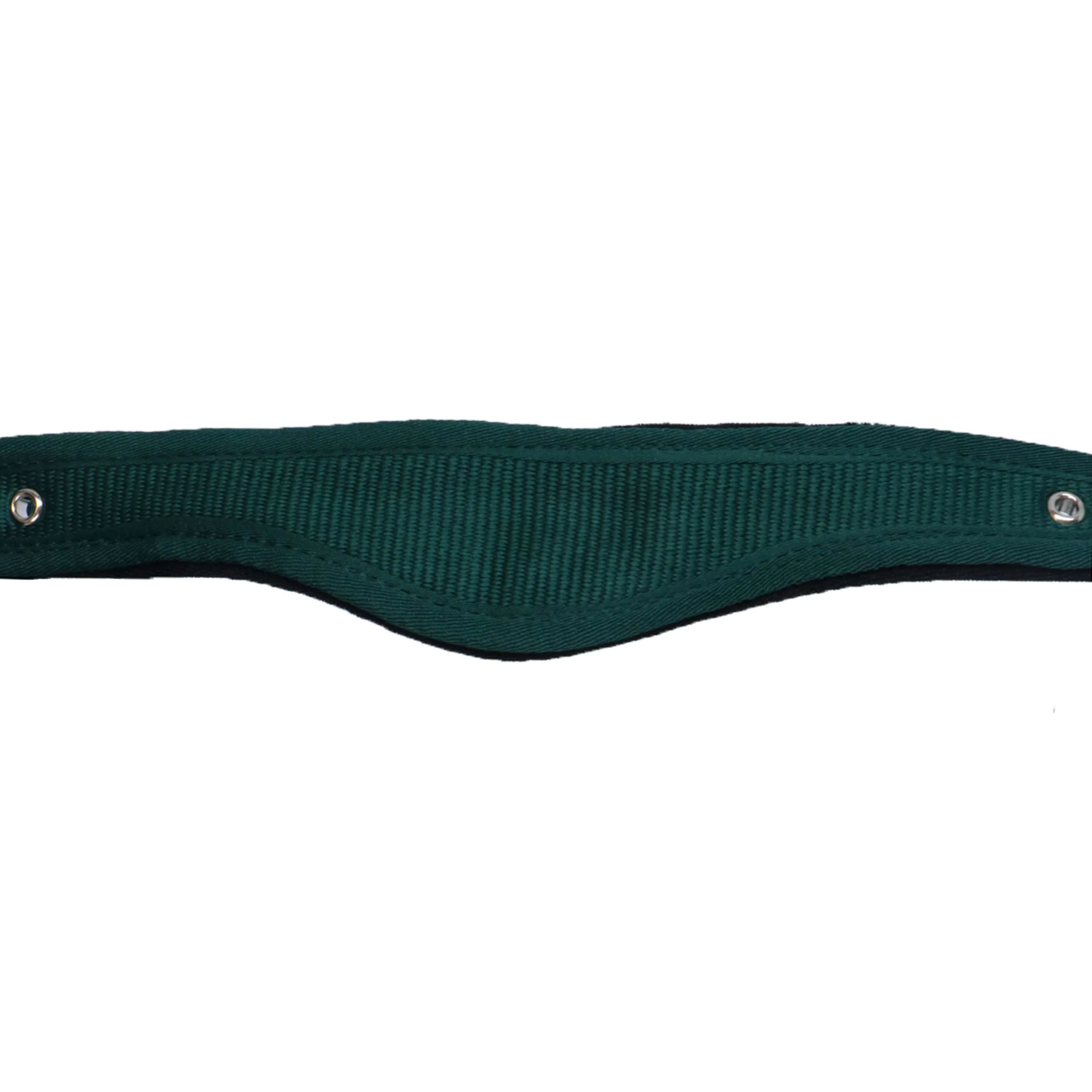 Agradi Horse Halfter Athletic Fir Green - Image 7