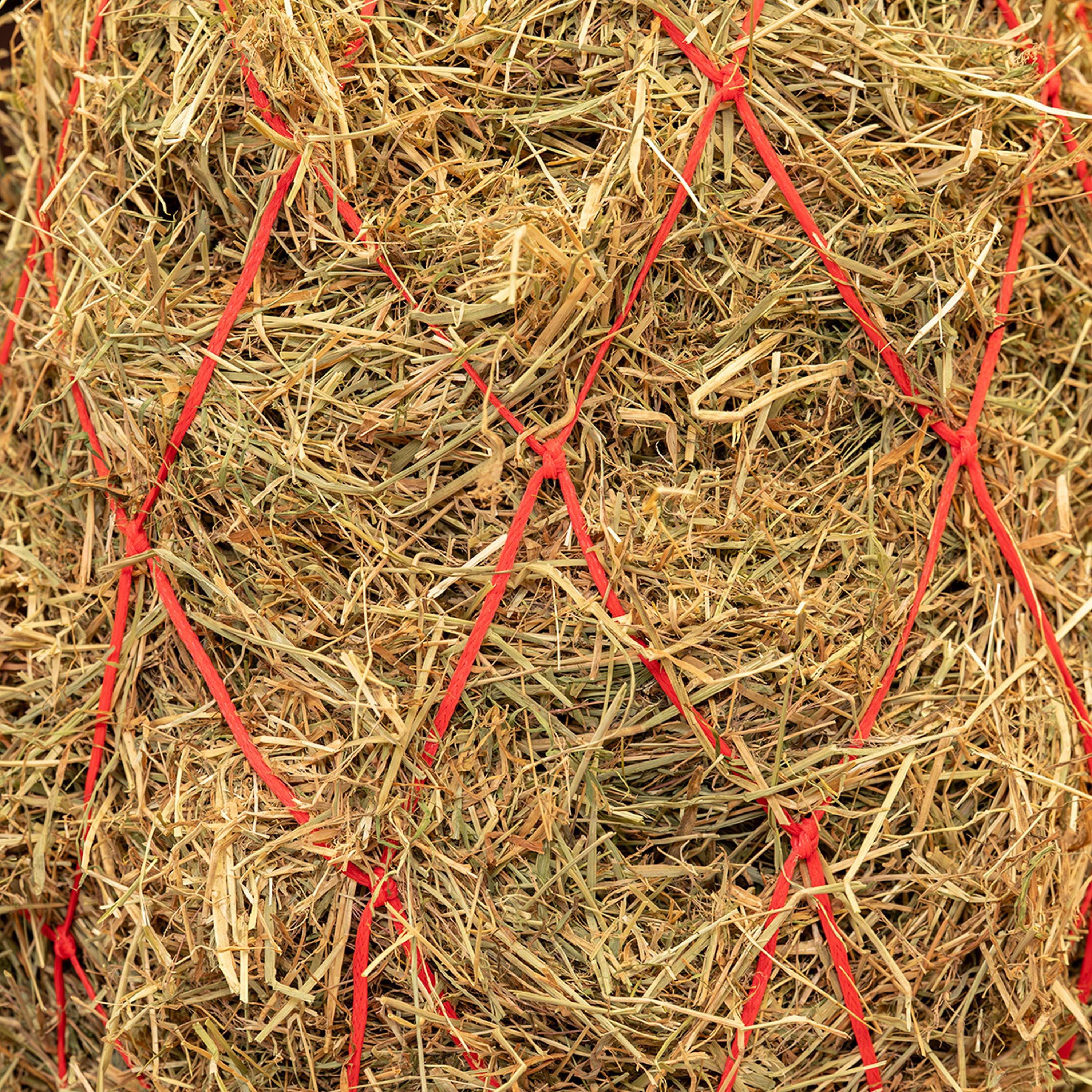 Agradi Horse Heunetz Masche 15x15cm Rot - Image 2