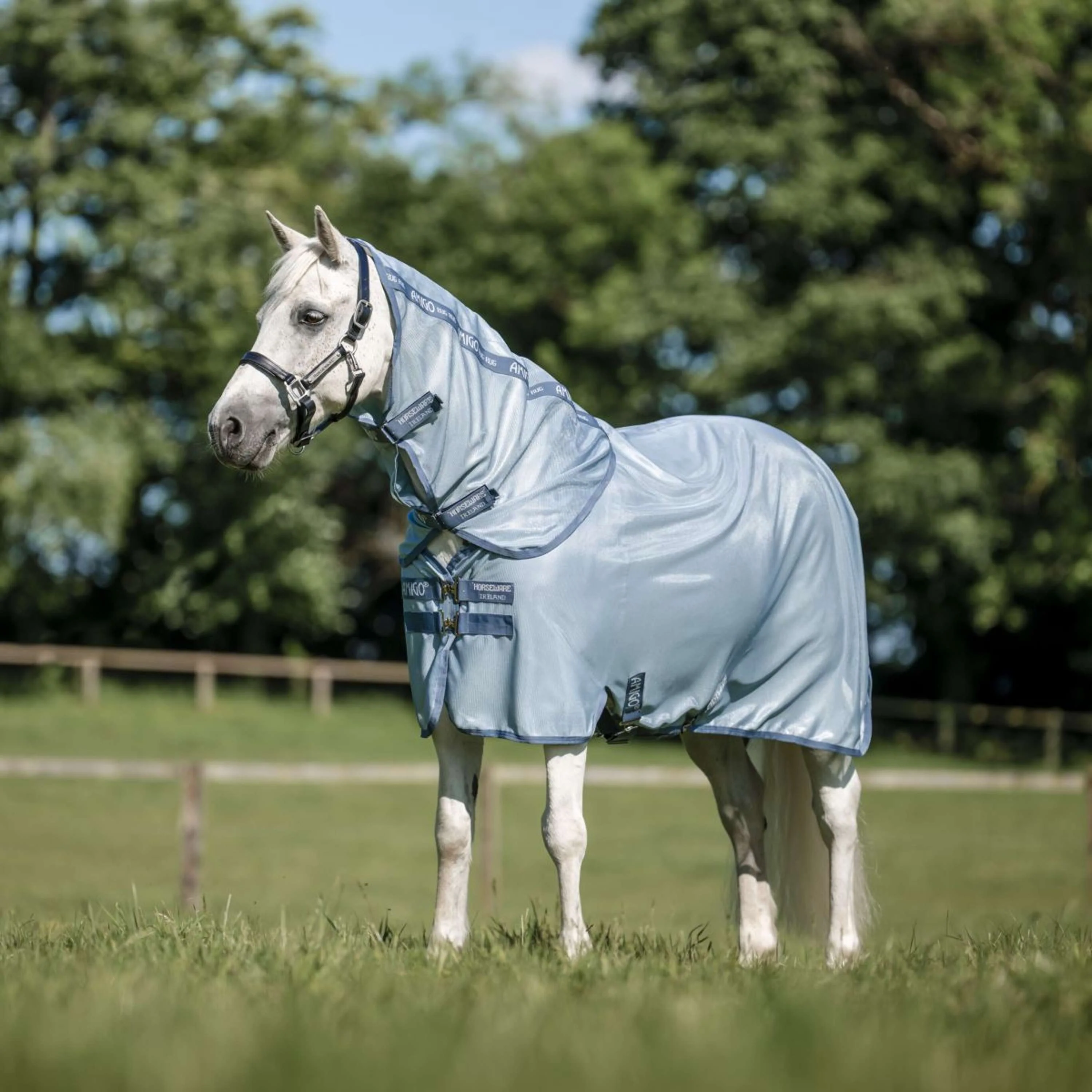 Amigo Bug Rug Plus Pony Heather Blue/Blue/Silver - Image 4