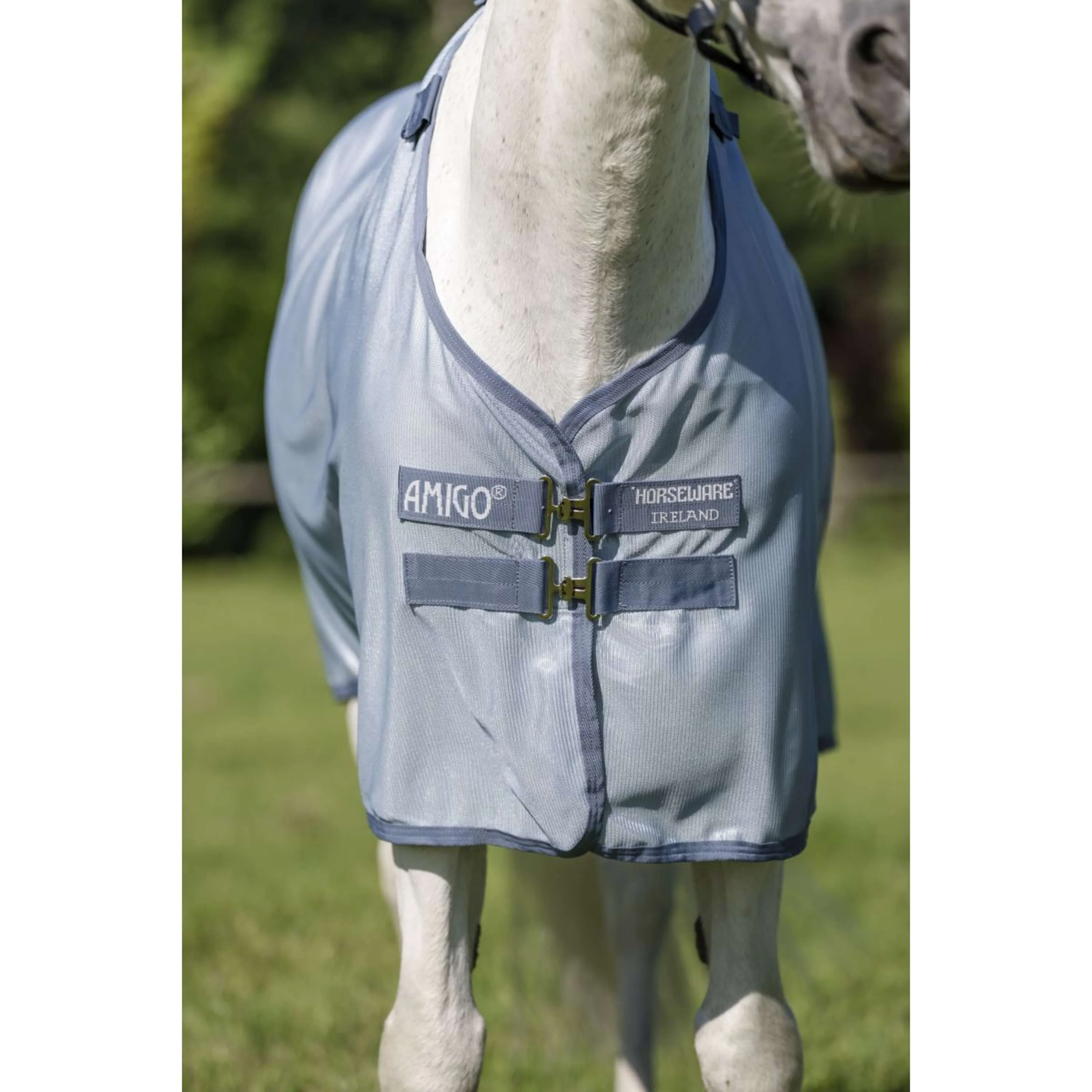 Amigo Bug Rug Plus Pony Heather Blue/Blue/Silver - Image 5