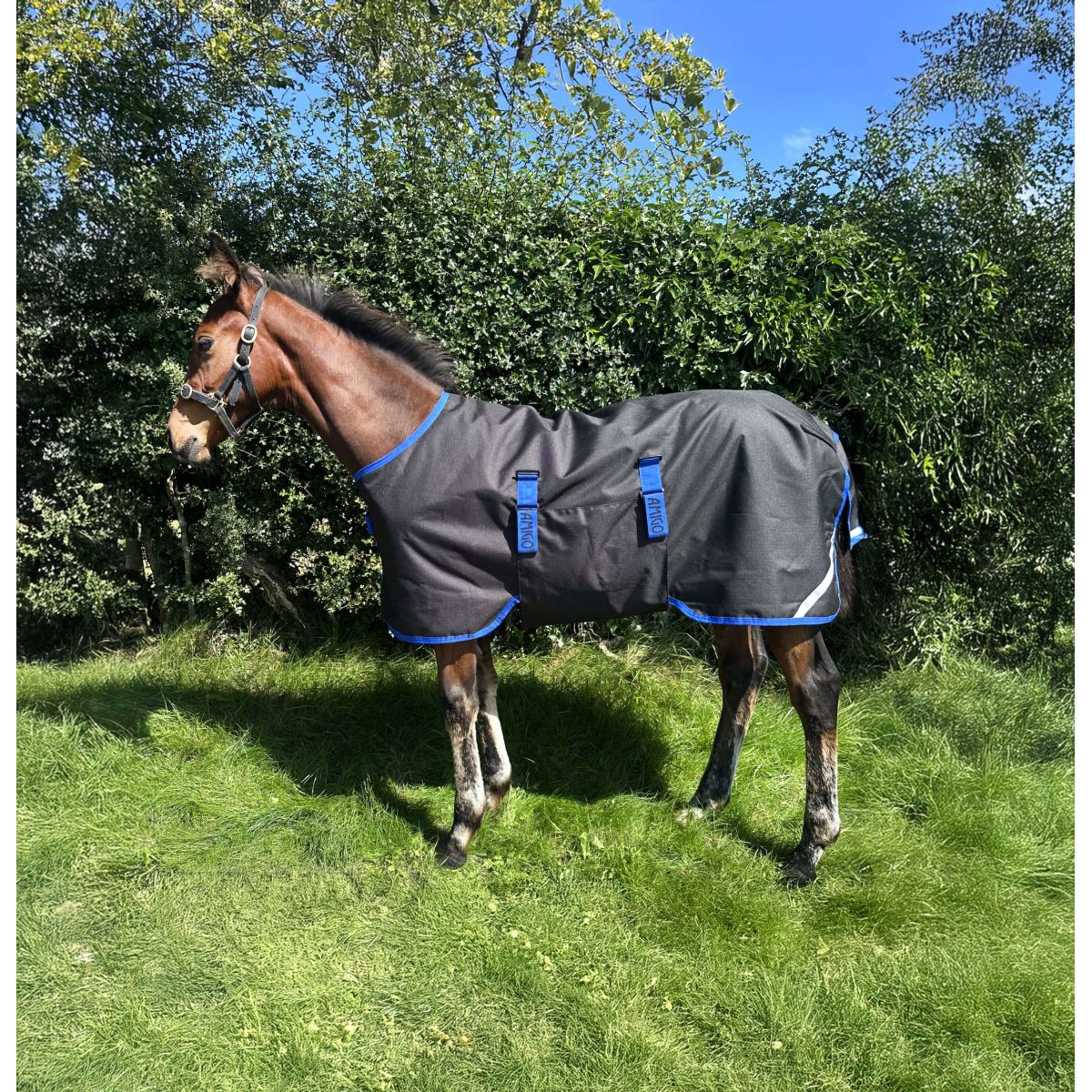 Amigo Fohlendecke Ripstop 900D 200g Black/Classic Blue