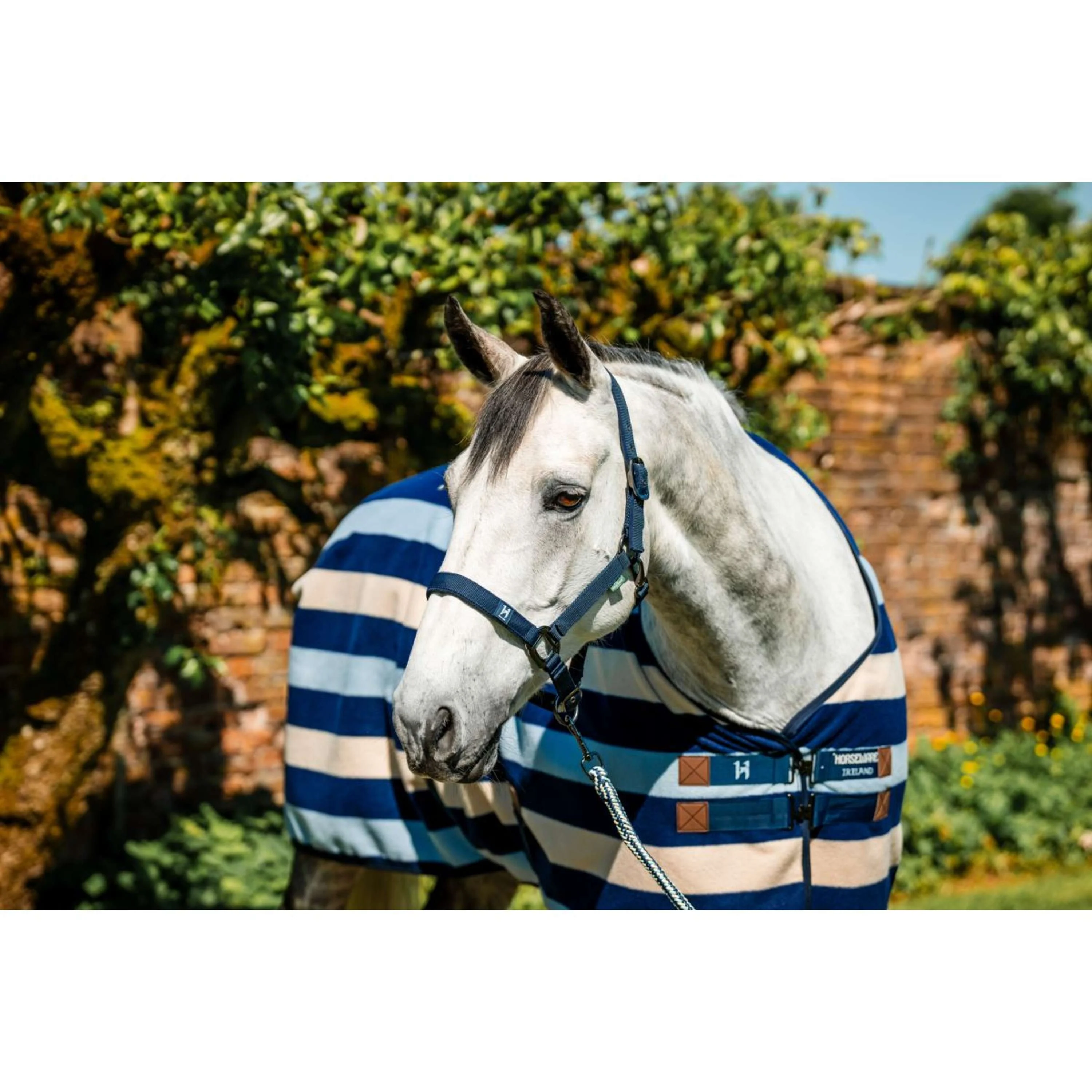 Amigo Halfter & Strick Newmarket Witney Navy - Image 2