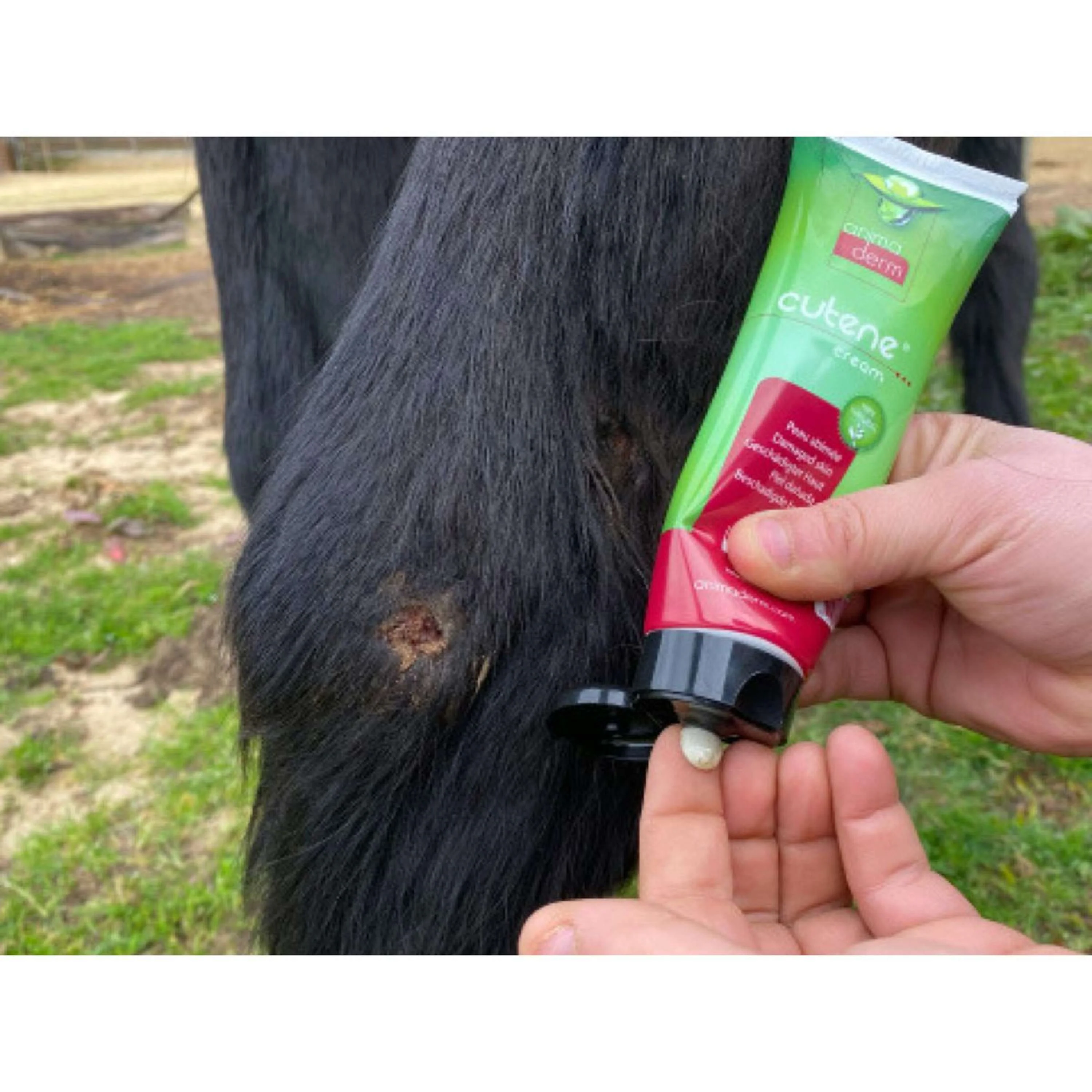 Animaderm Pflegecreme Cutene - Image 6