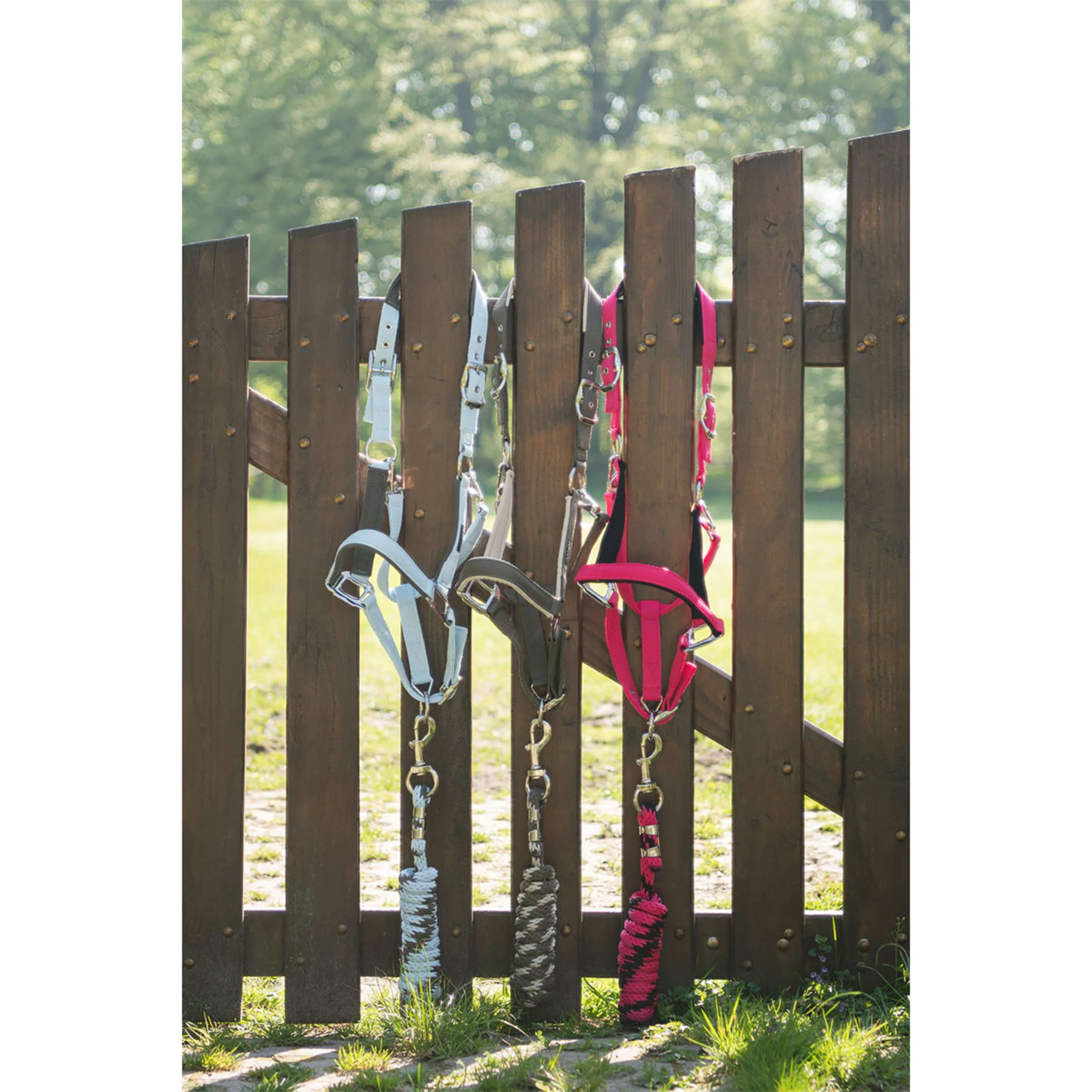 ANKY Halfterset ATH261001 Nantucket Breeze - Image 4