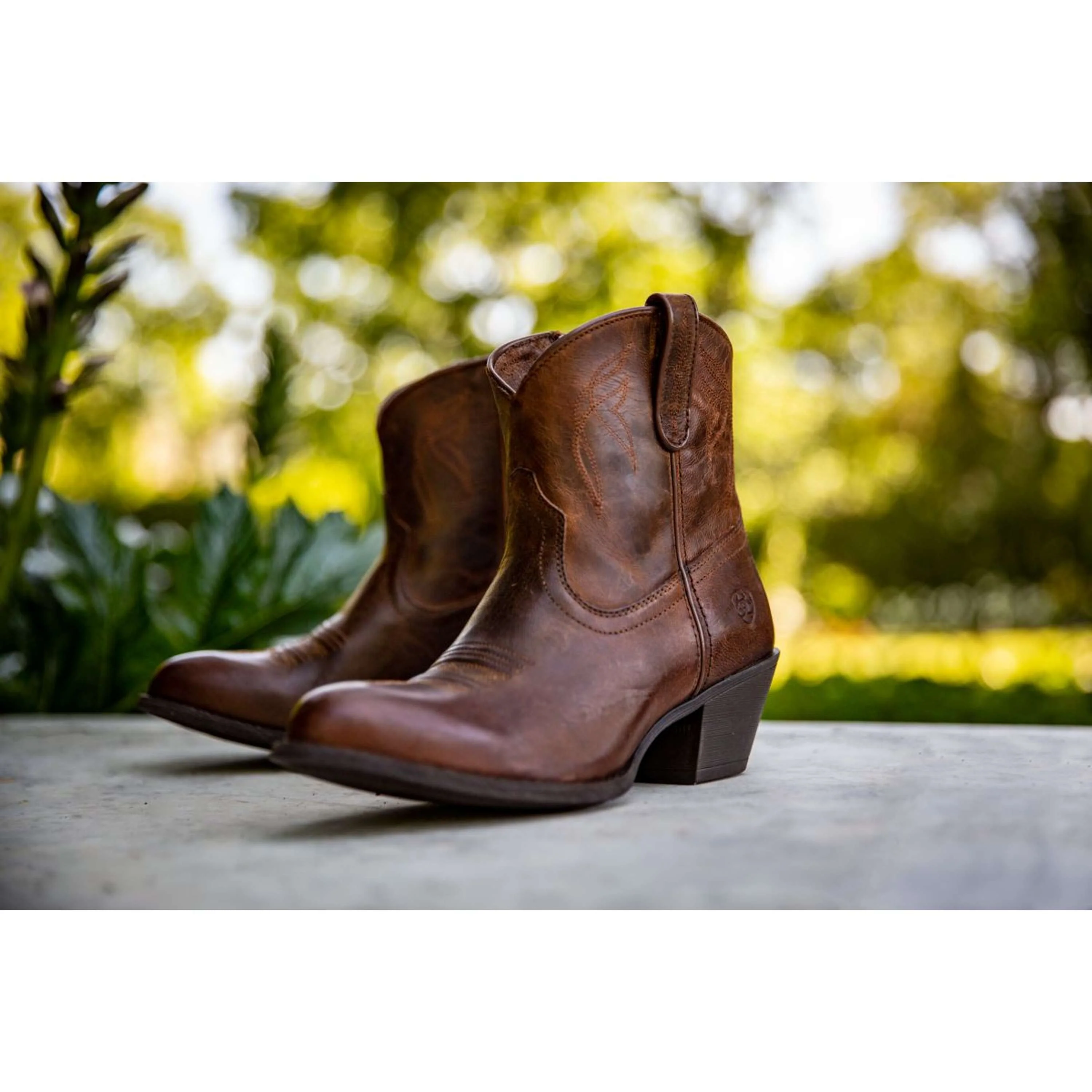Ariat Westernstiefel Darlin Damen Sassy Brown - Image 5