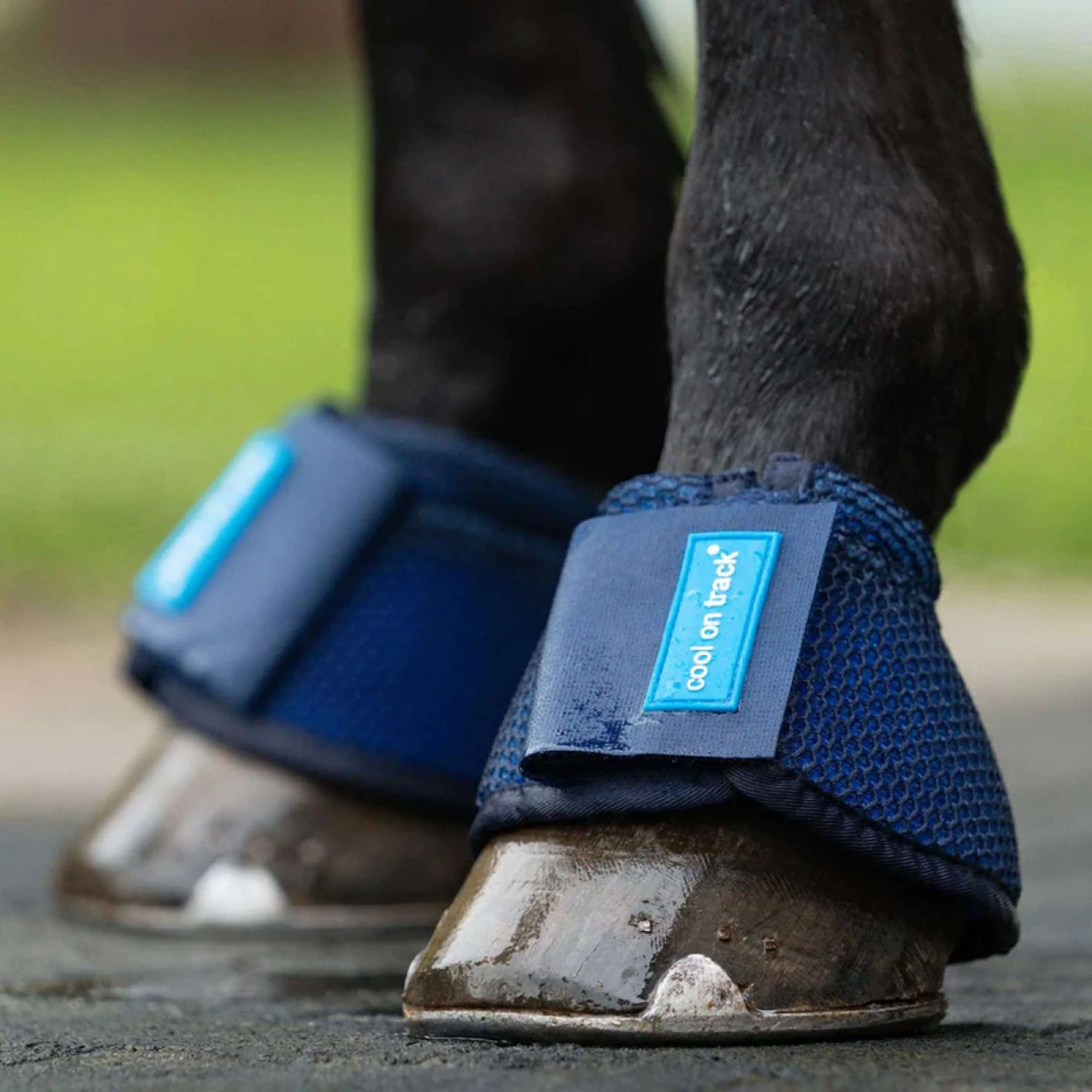 Back on Track Hufglocken Cooling Blau - Image 3
