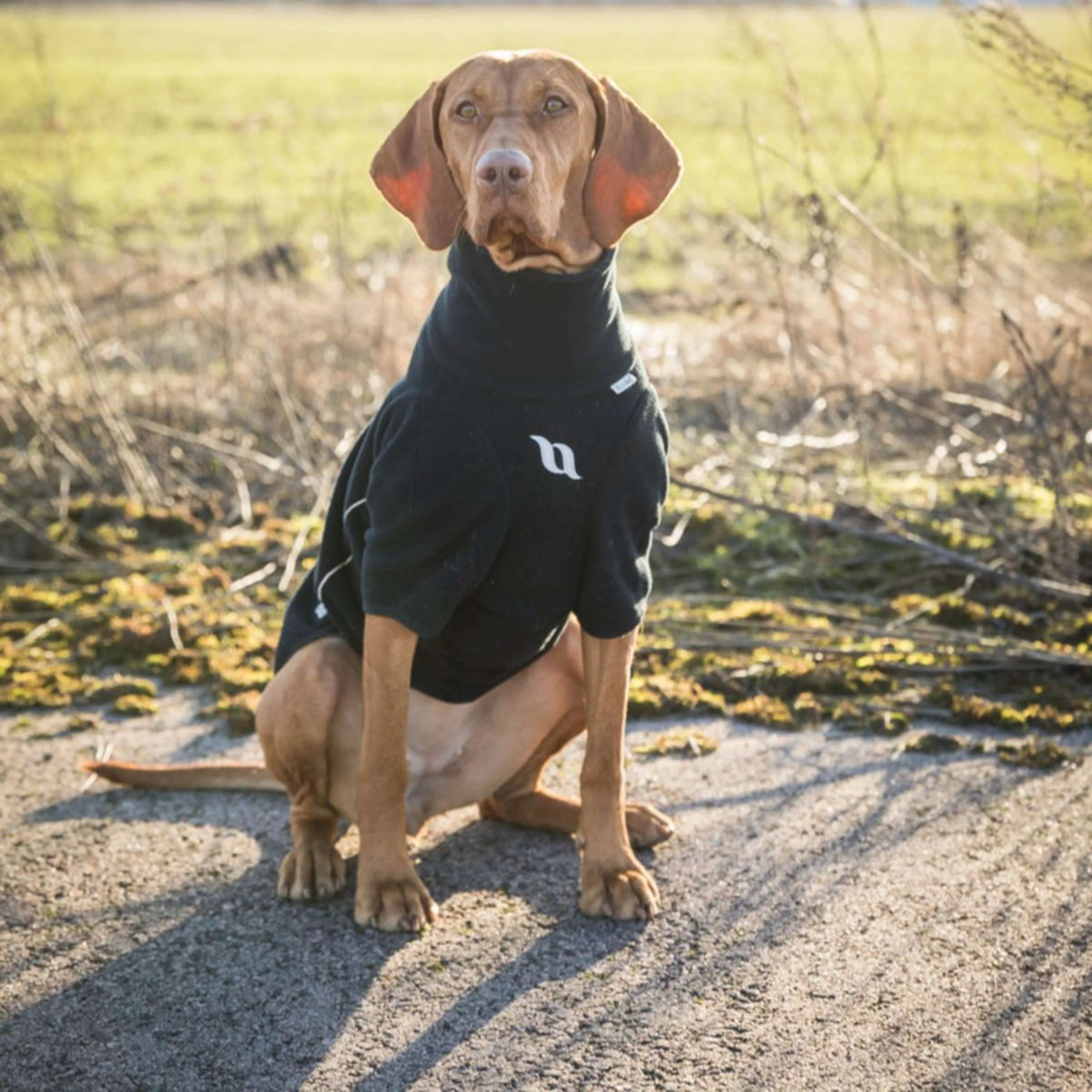 Back on Track Hundejacke Cassie All-Weather Schwarz - Image 10