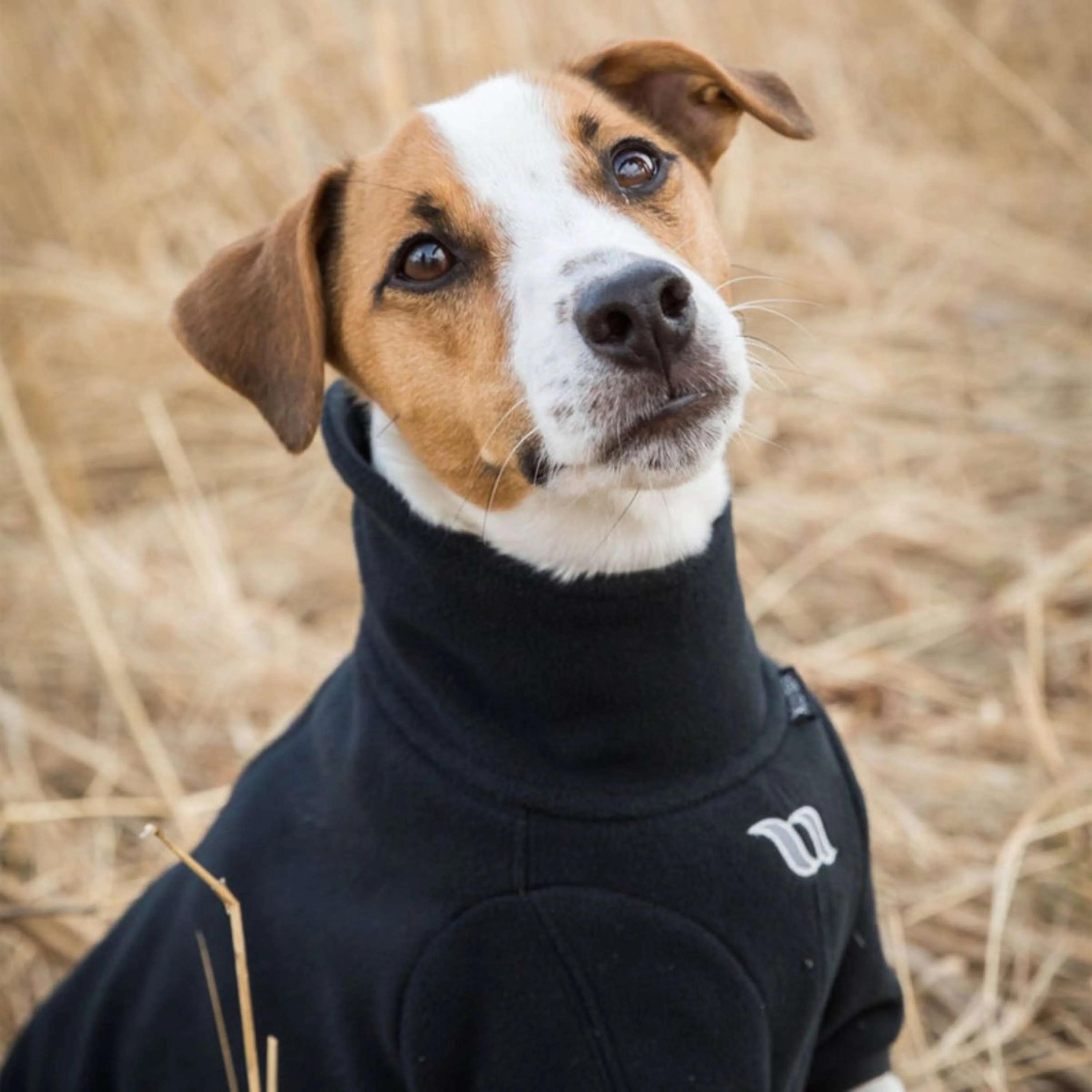 Back on Track Hundejacke Cassie All-Weather Schwarz - Image 9