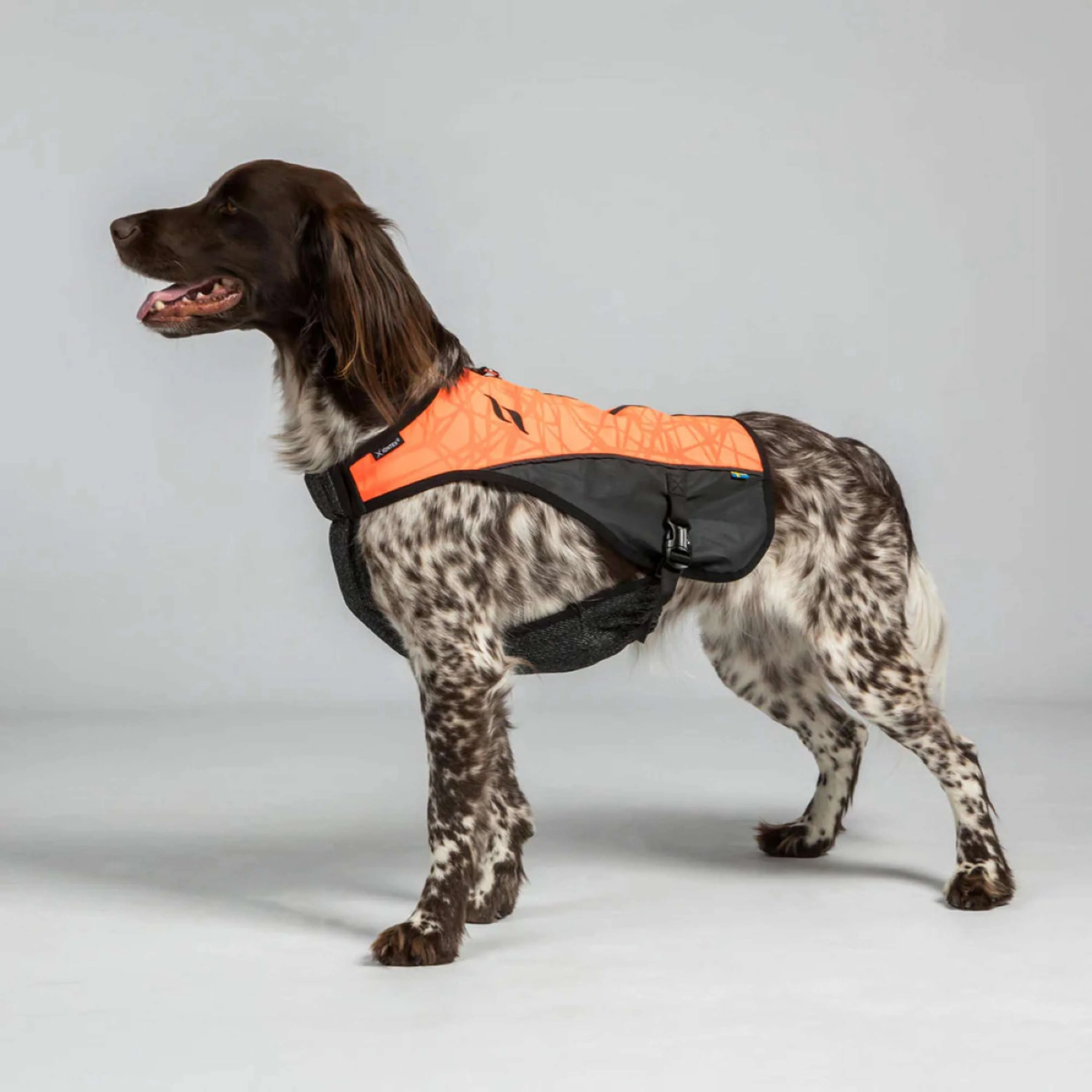Back on Track Hundejacke TRAKK Reflektierend Orange - Image 2