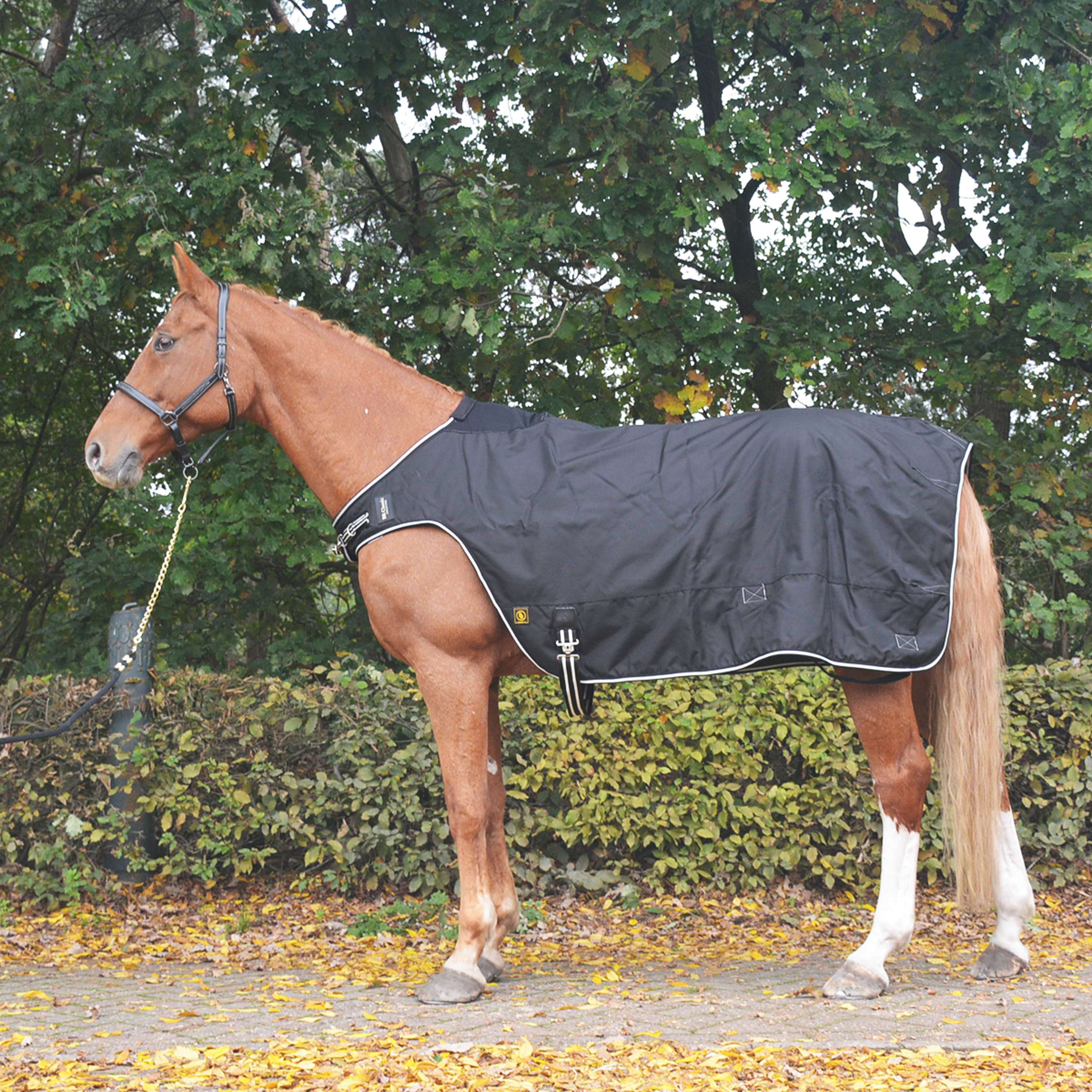 BR Decke mit Sattelausschnitt Classic 1200D 150g Schwarz - Image 7