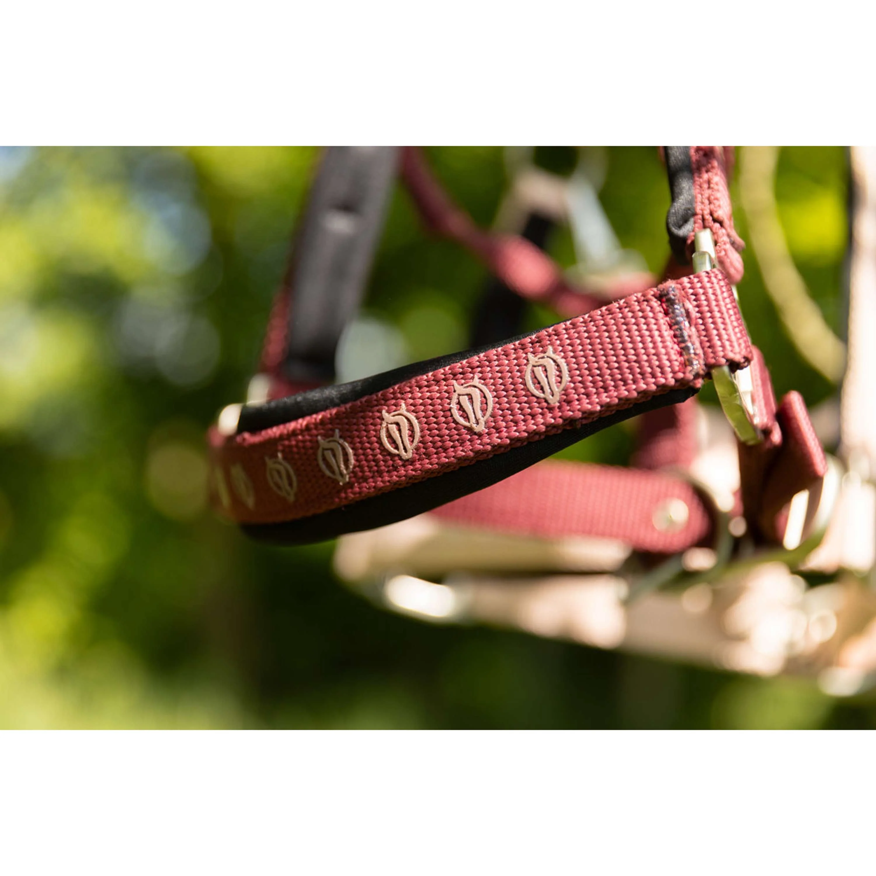 BR Halfter Eevolv Karin New Maroon - Image 2