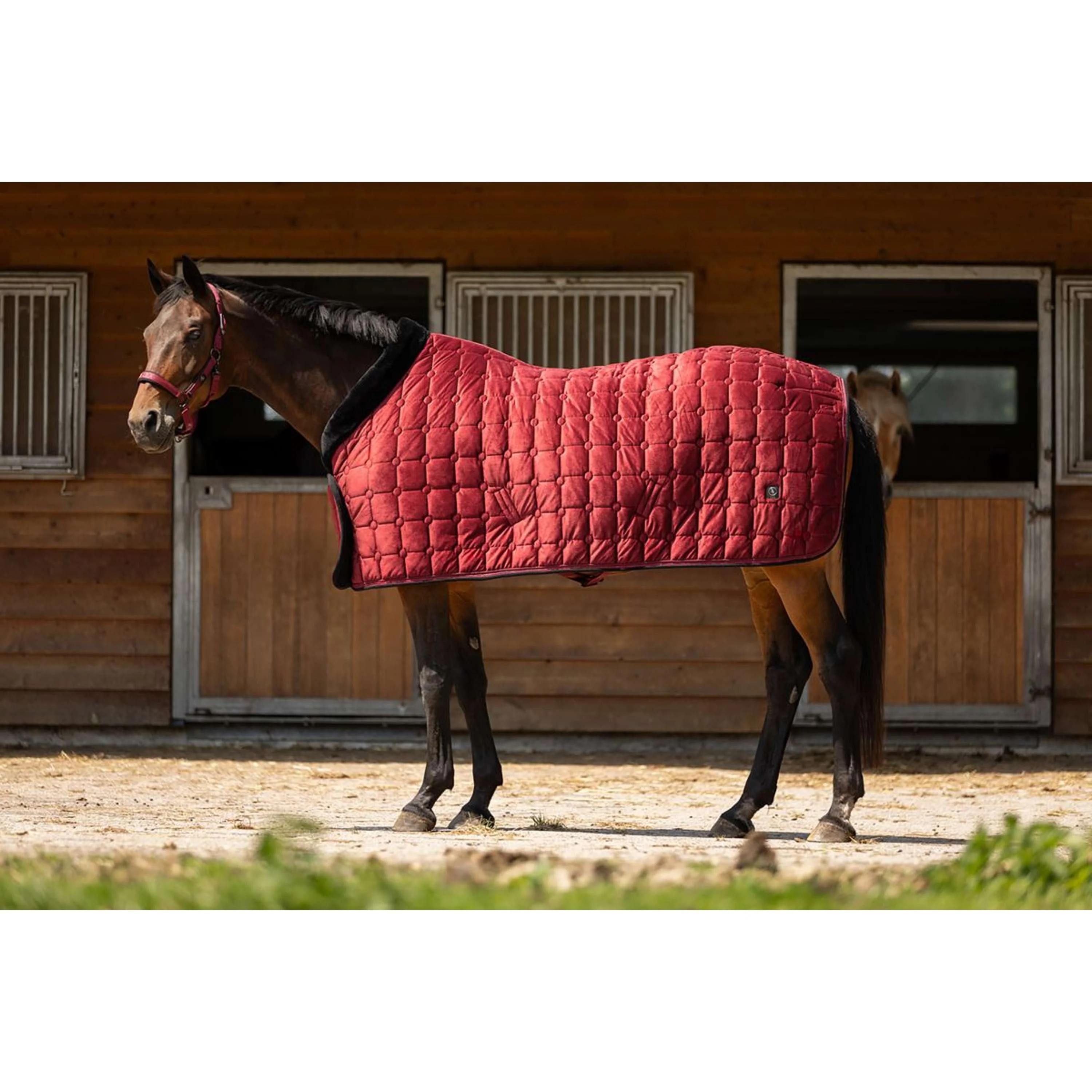 BR Showdecke CLX Cabernet - Image 6