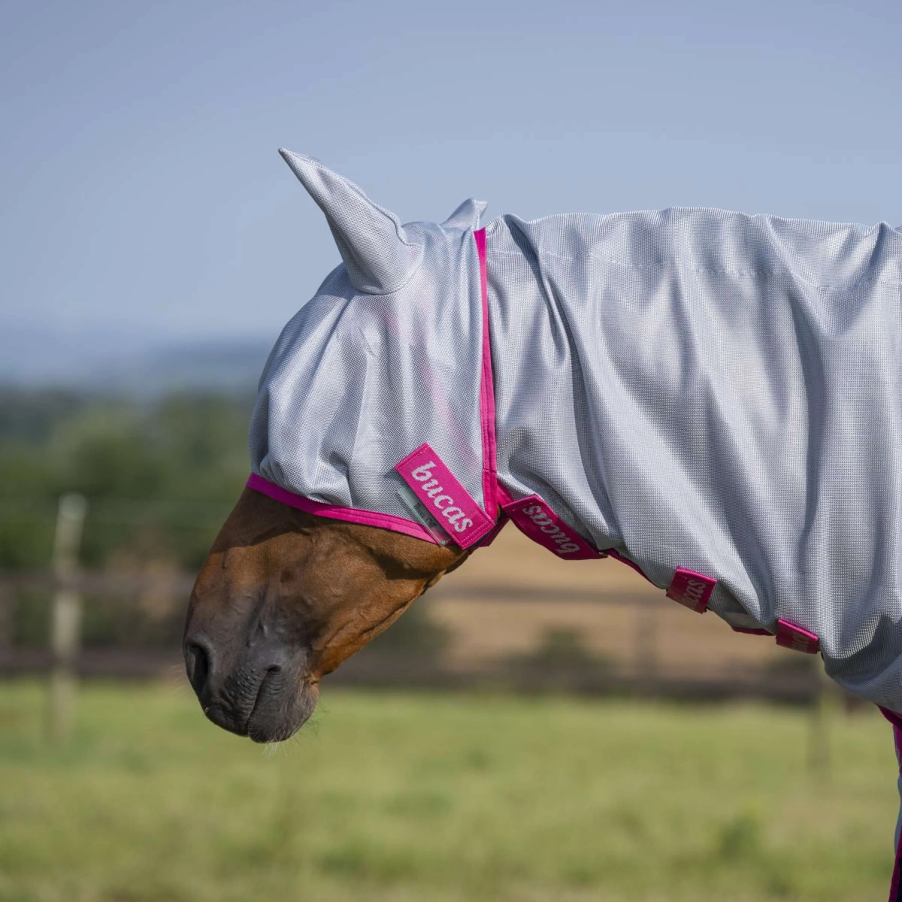 Bucas Buzz-Off Fly Mask Blue/Blossom - Image 2