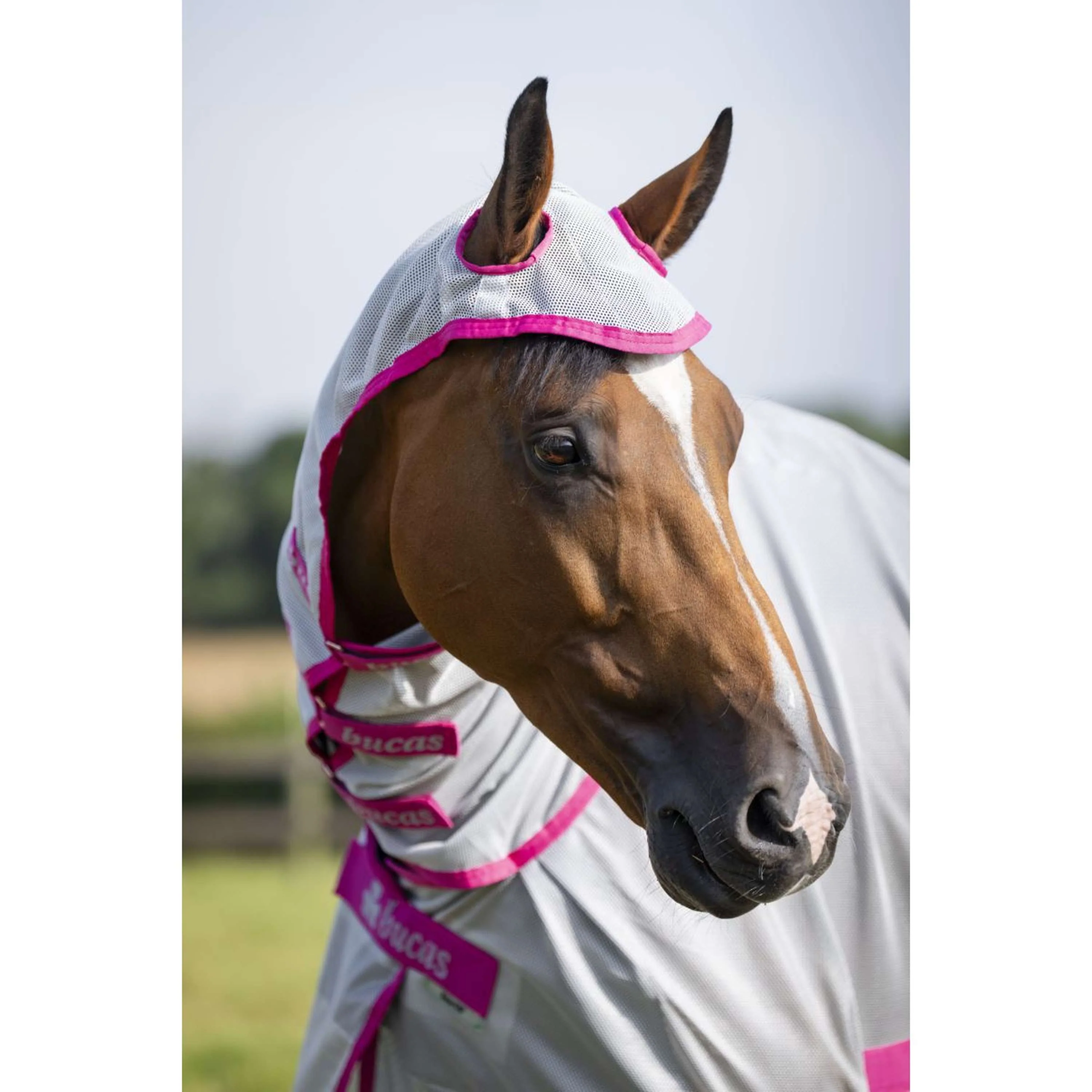 Bucas Buzz-Off X Full Neck Blue/Blossom - Image 3