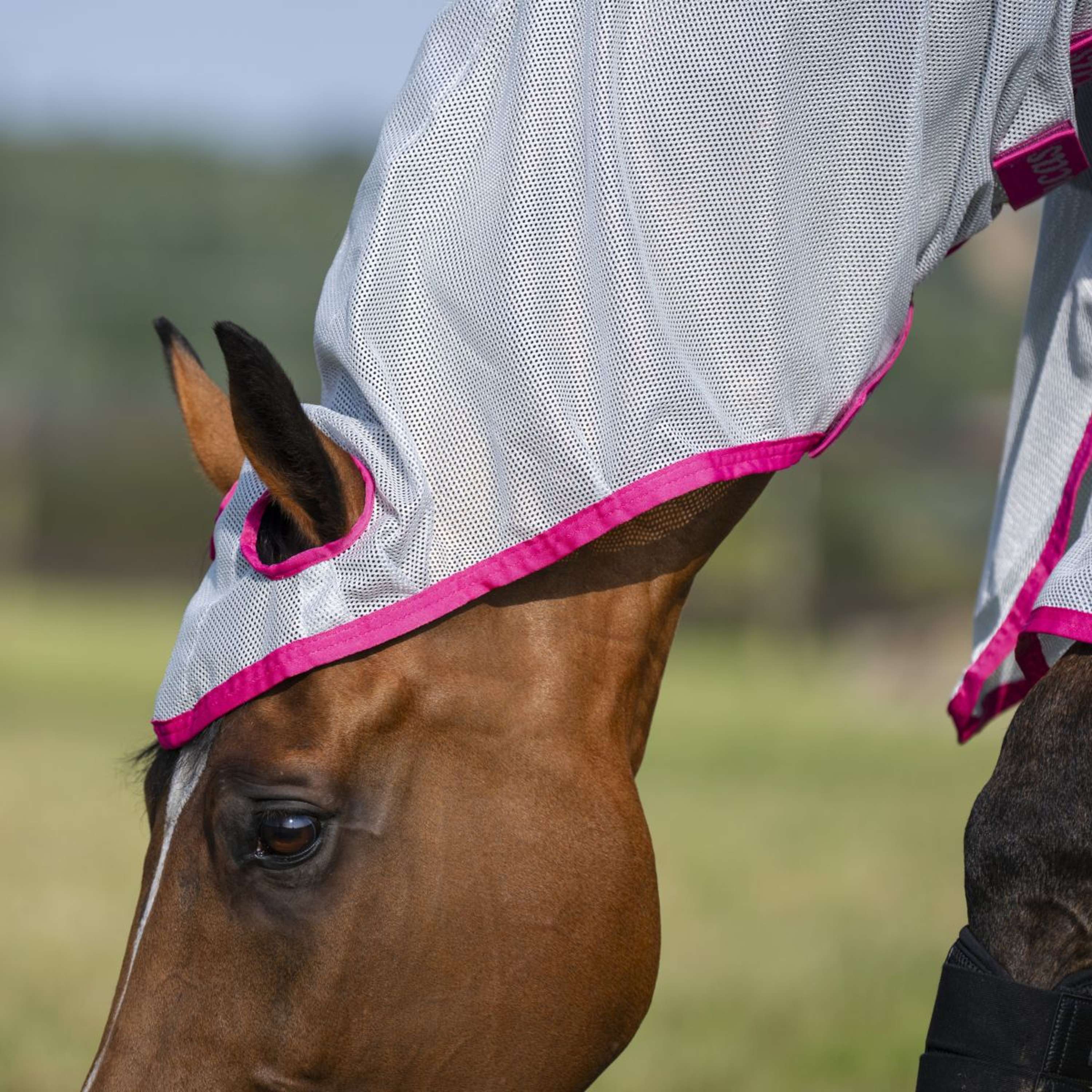 Bucas Buzz-Off X Full Neck Blue/Blossom - Image 4