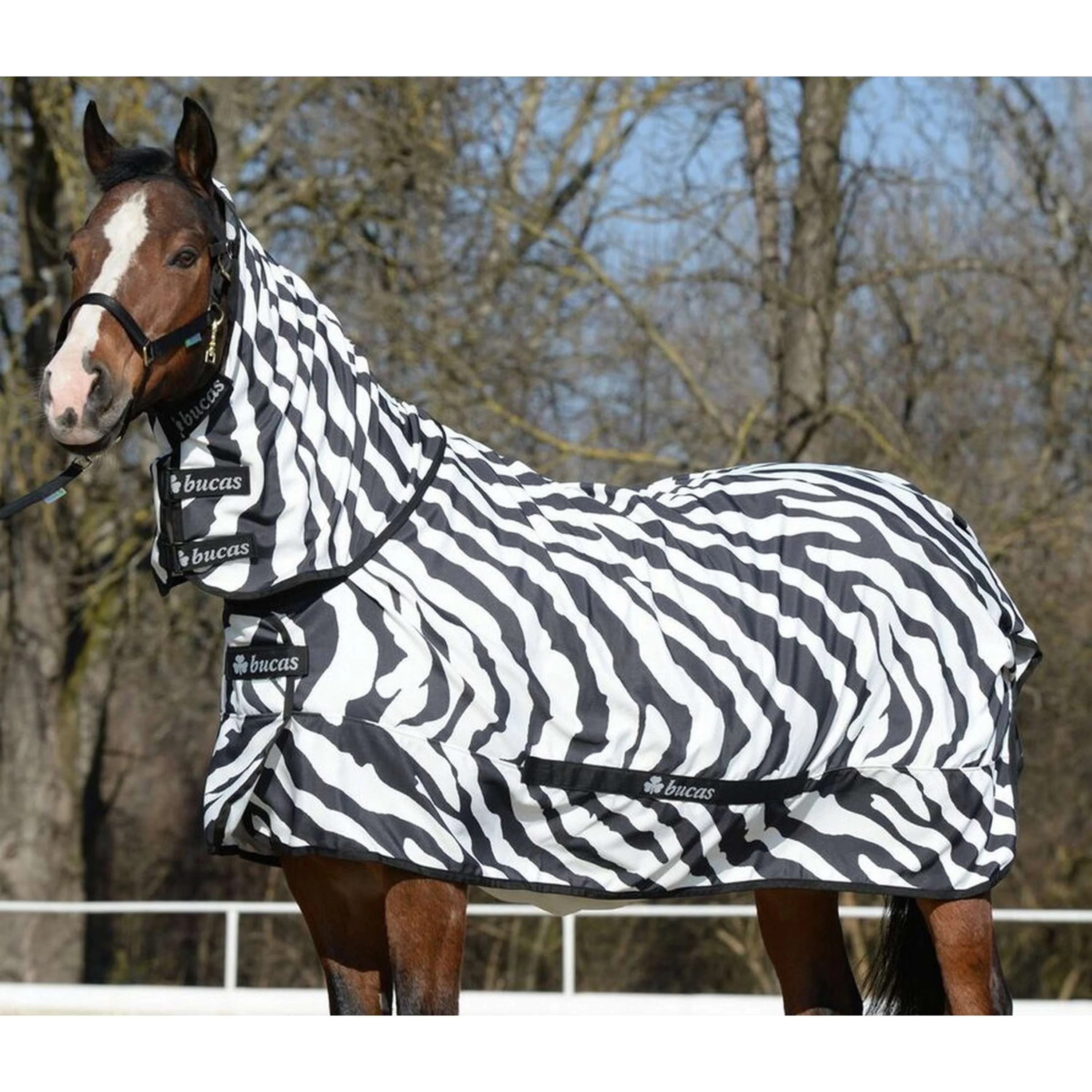 Bucas Ekzemdecke Sweet Itch Zebra - Image 4