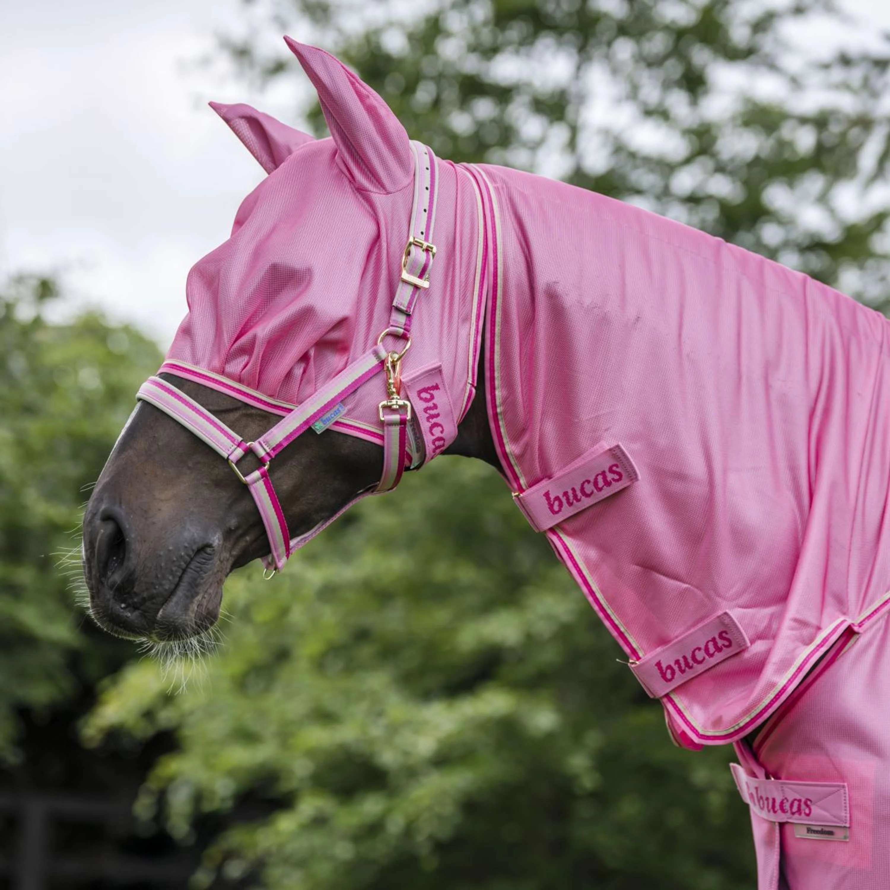 Bucas Freedom Vliegenmasker Aurora Pink