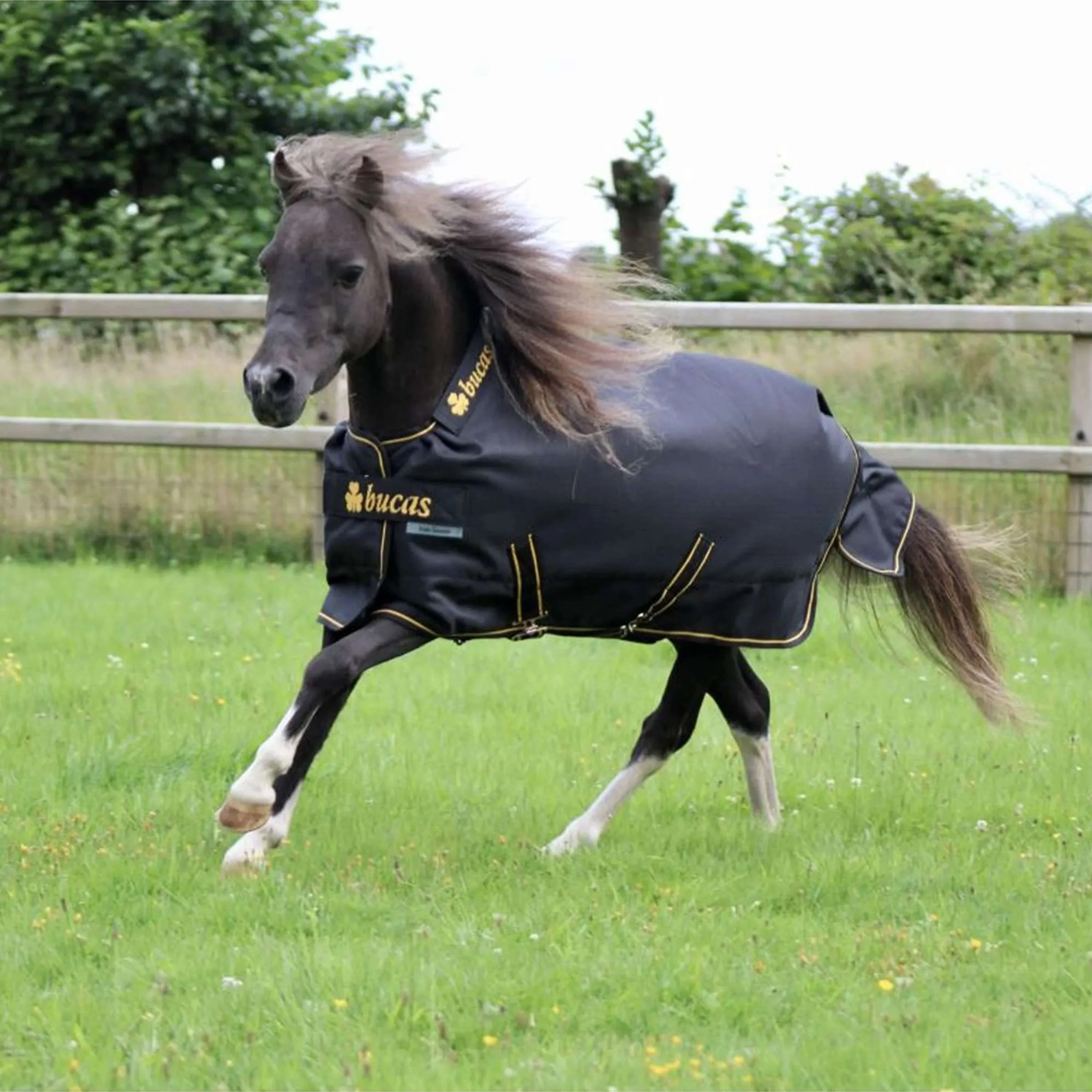 Bucas Irish Turnout 100g Schwarz/Gold - Image 3