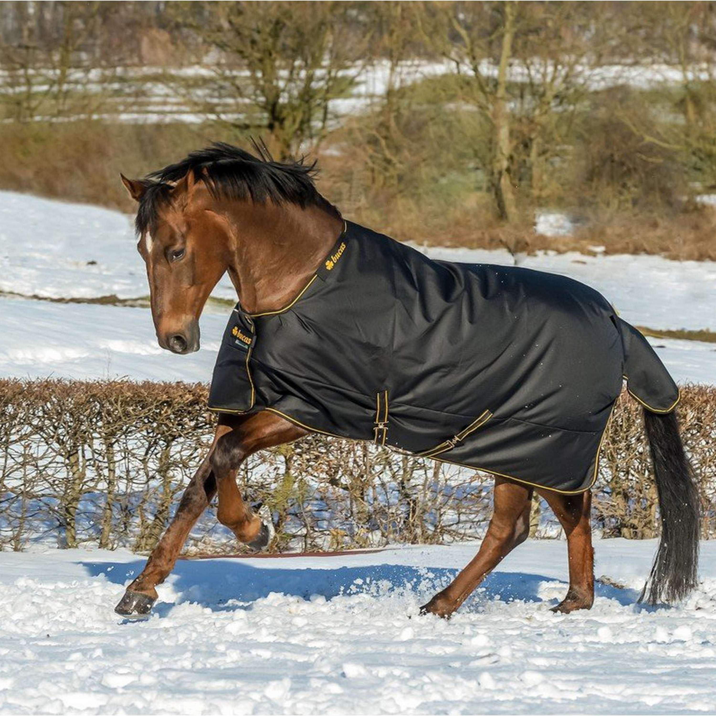 Bucas Irish Turnout Extra 300g Schwarz/Gold - Image 3