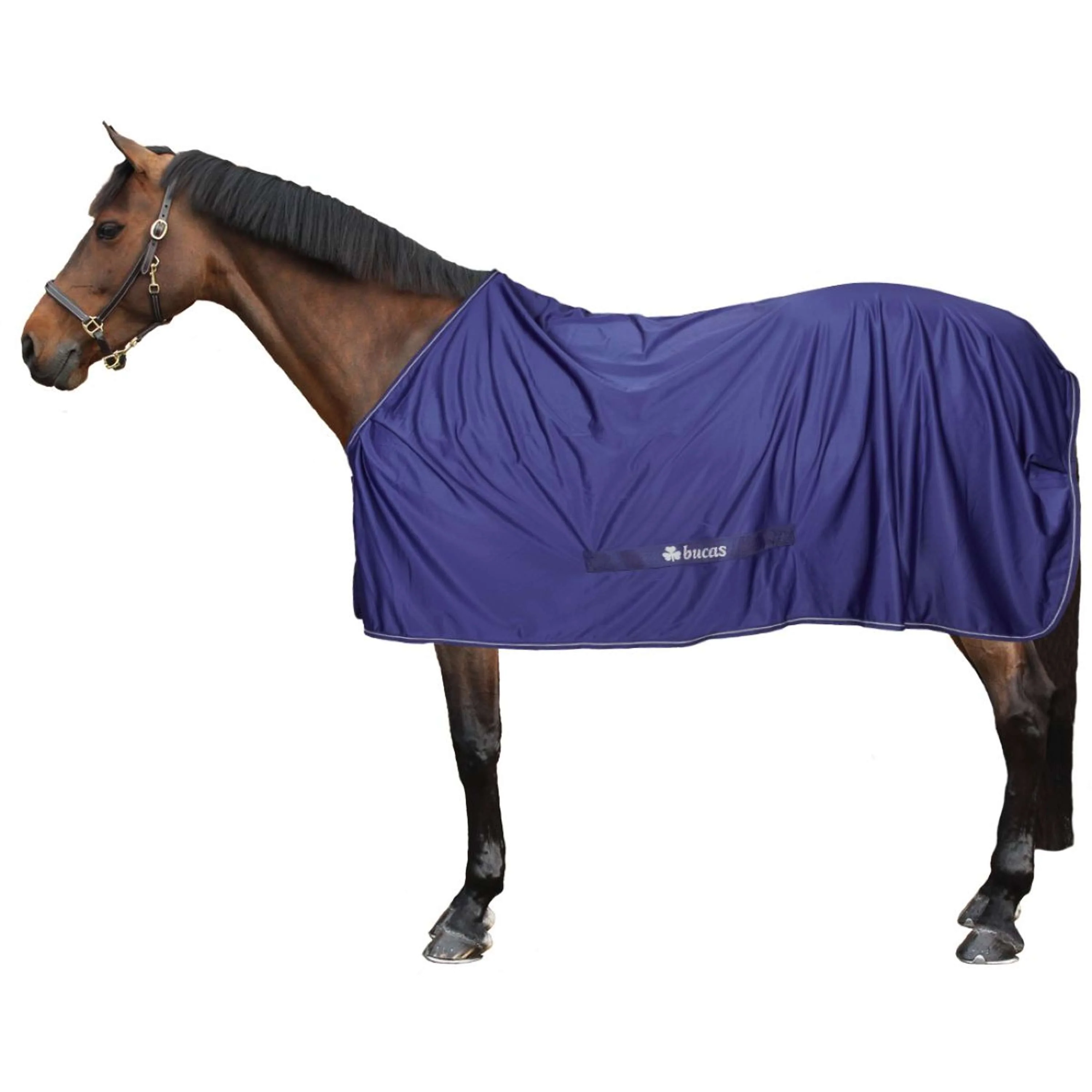 Bucas Power Cooler Navy/Silber - Image 3