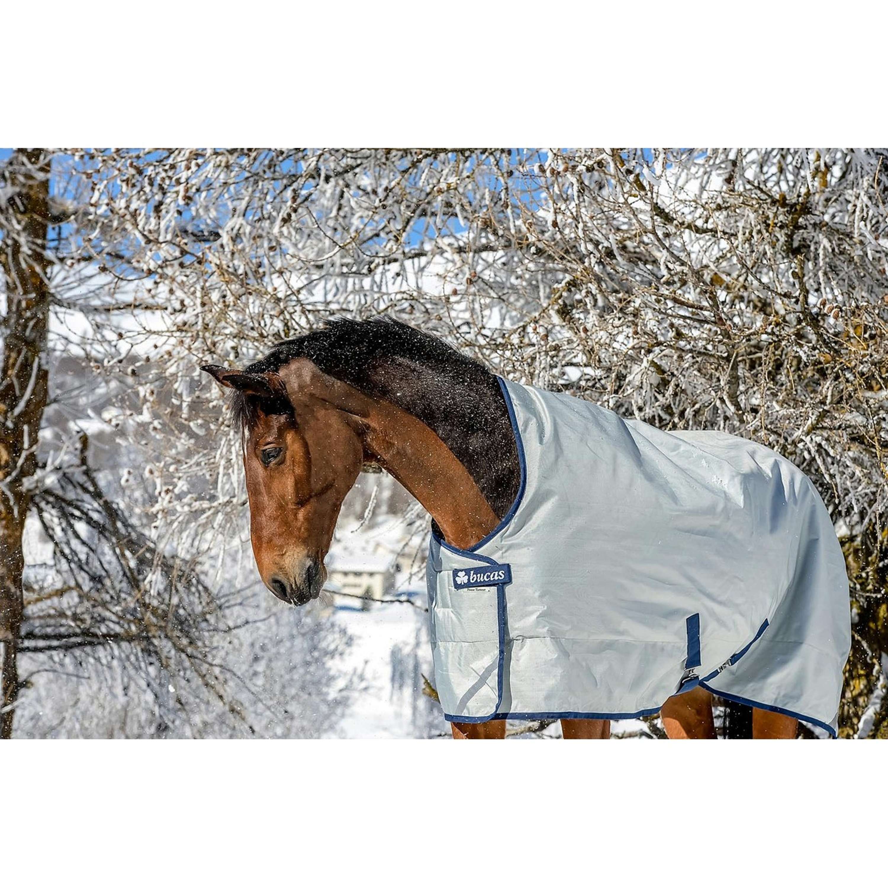 Bucas Power Turnout Extra High Neck 300g Silber - Image 2