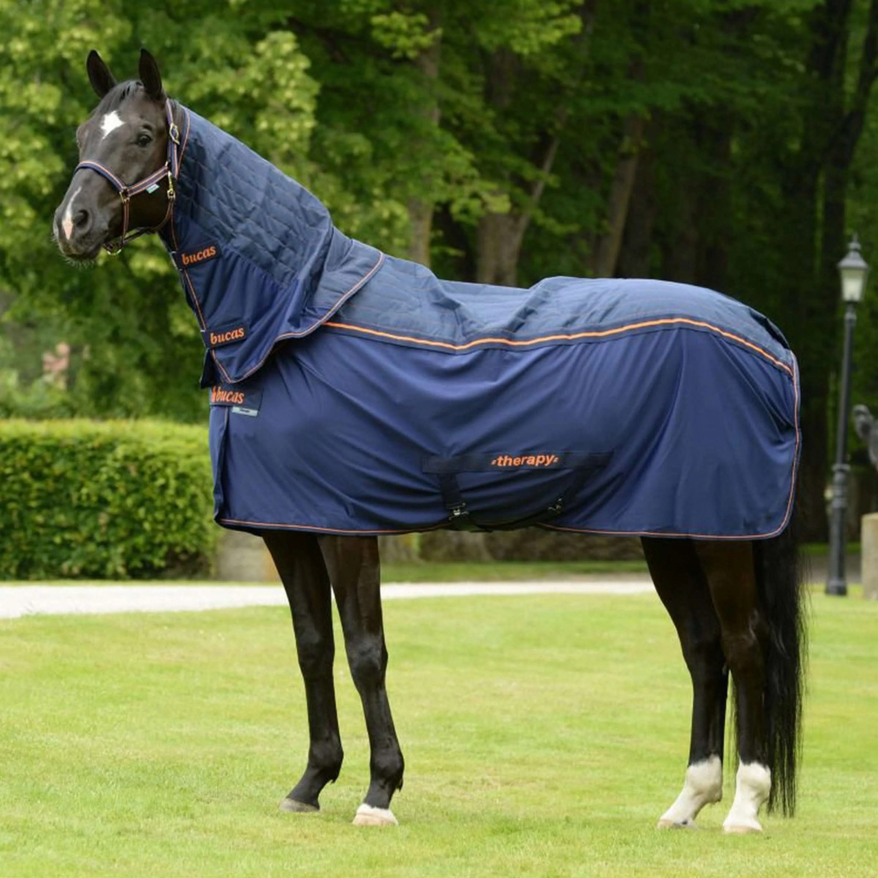 Bucas Therapy Cooler Navy Orange - Image 2