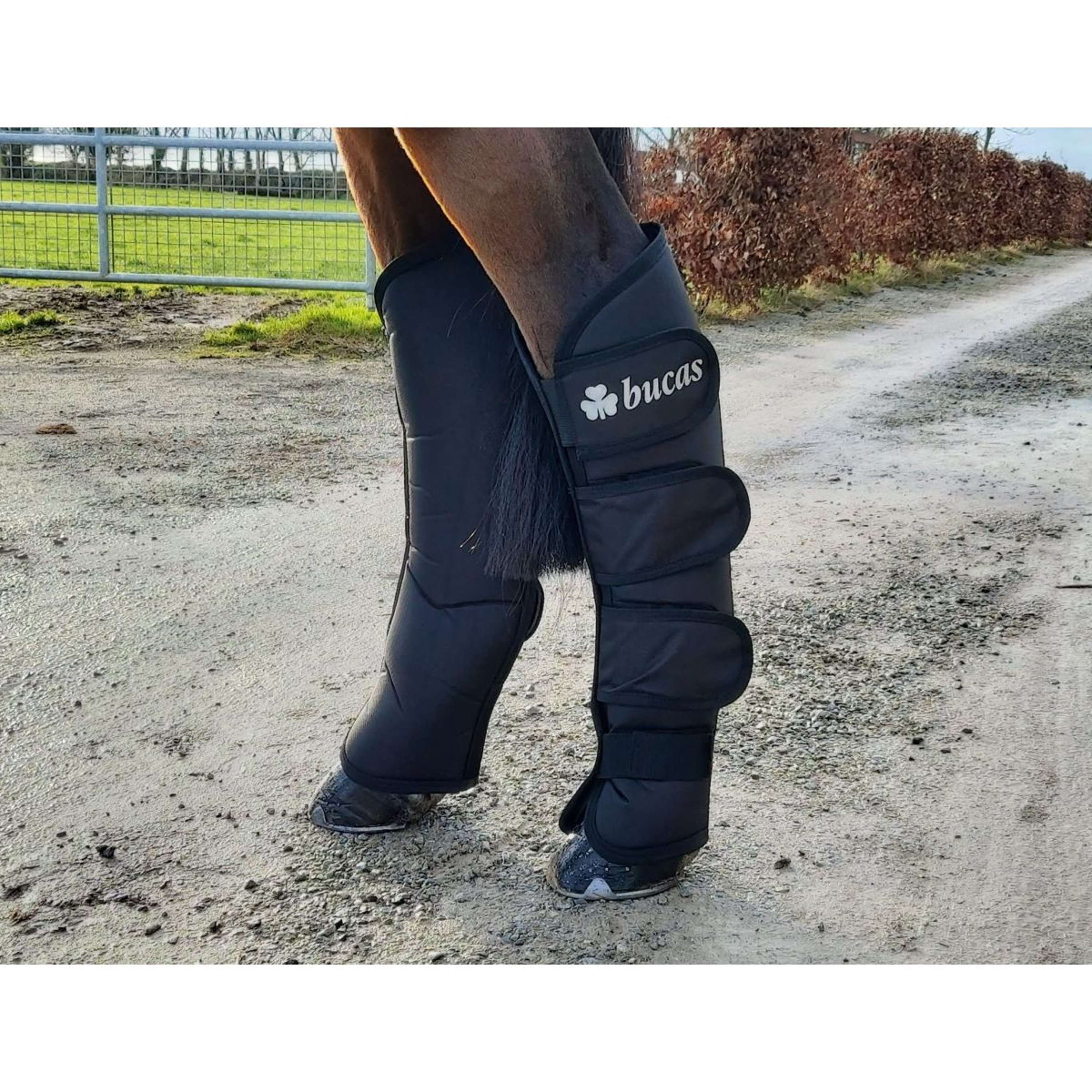 Bucas Transportgamaschen Boots 2020 Schwarz - Image 9