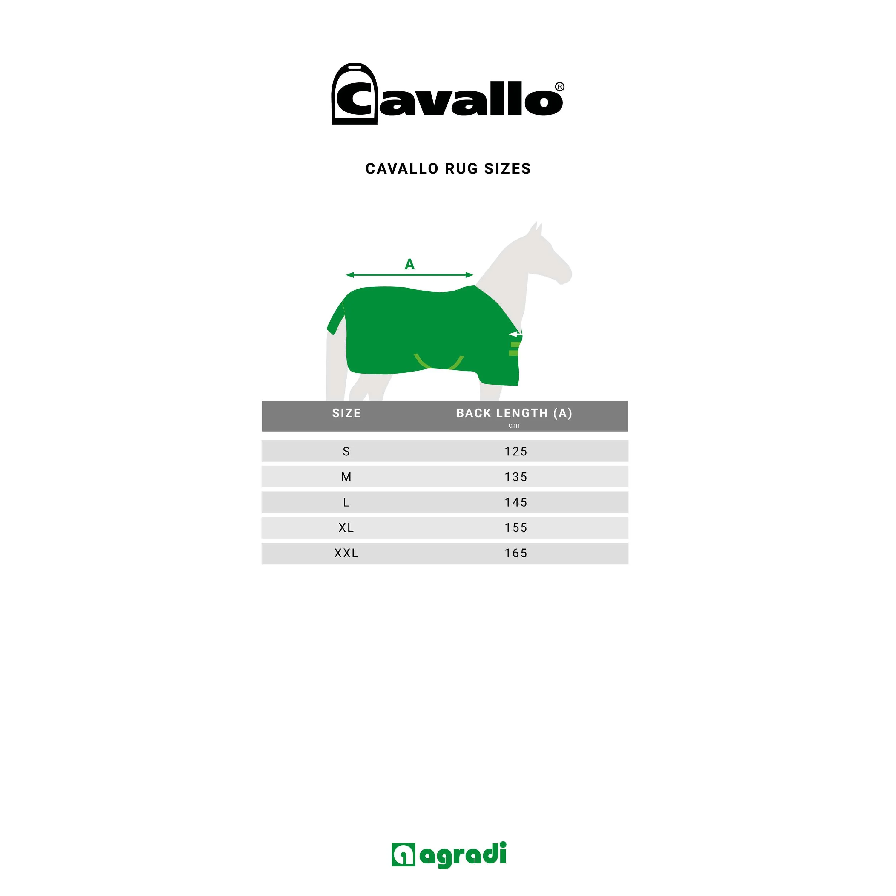 Cavallo Fleecedecke CavalQuick Dry Cooler Soft Aqua - Image 3