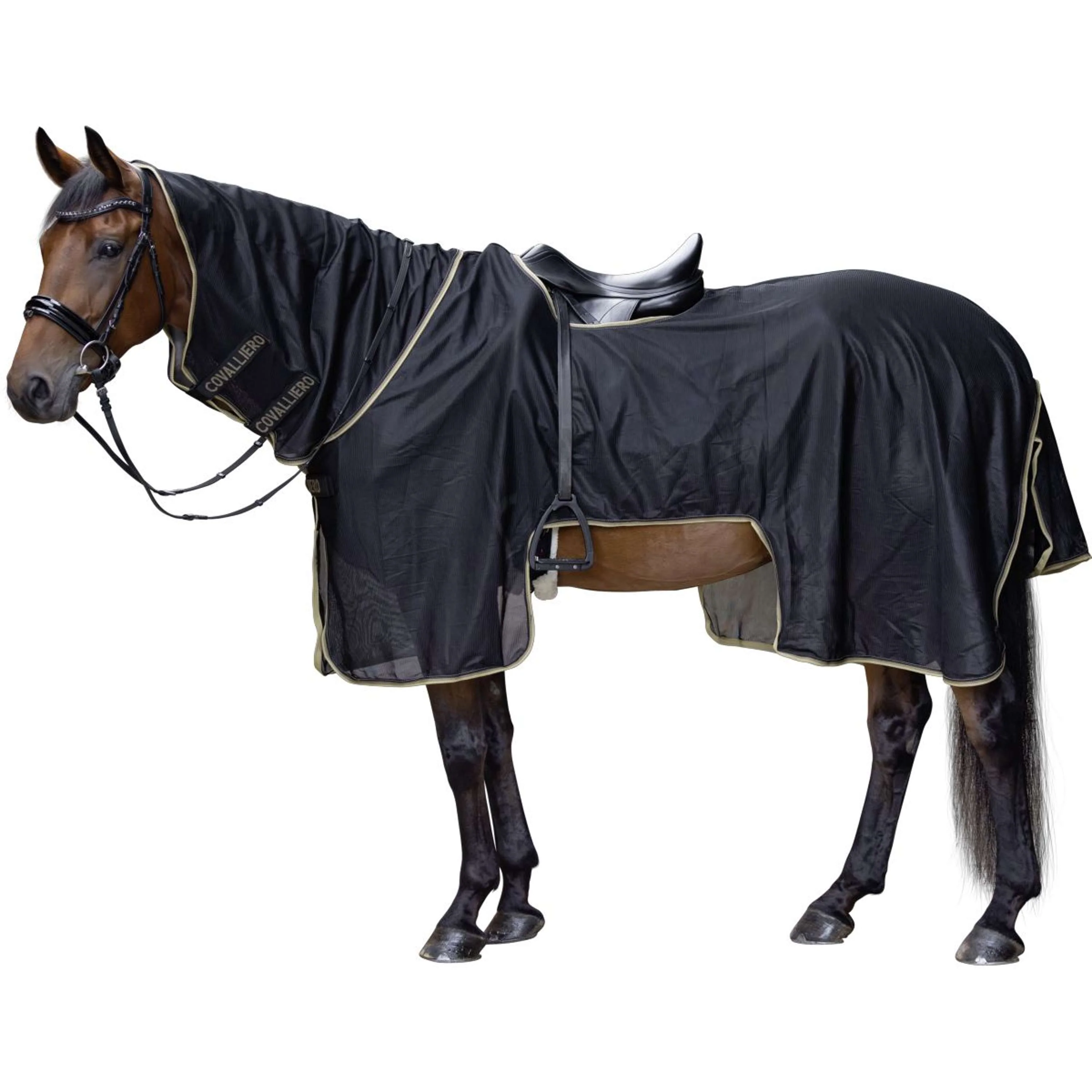 Covalliero Ausreitdecke SS26 Schwarz - Image 3