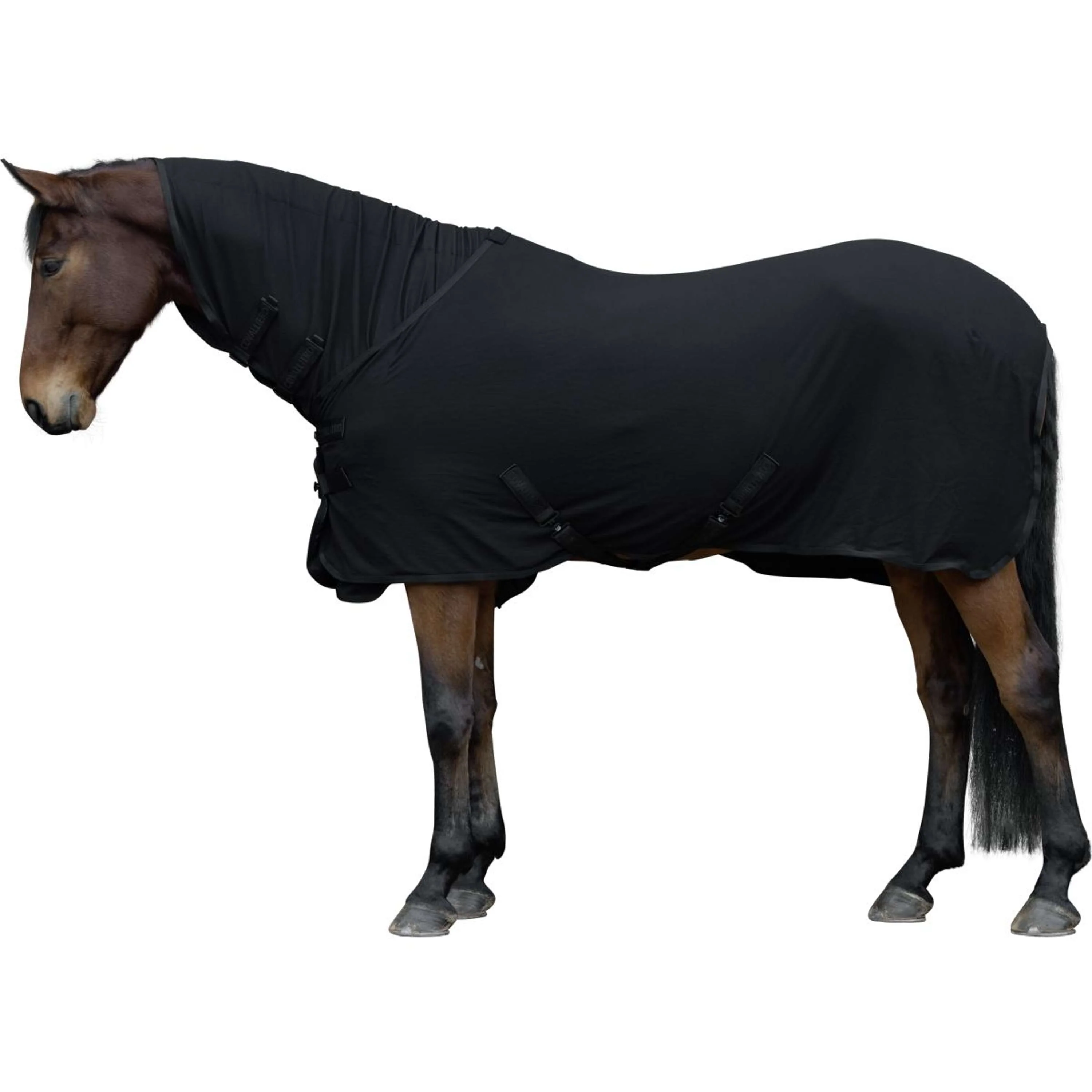 Covalliero Fleecedecke Light AW25 Schwarz - Image 2