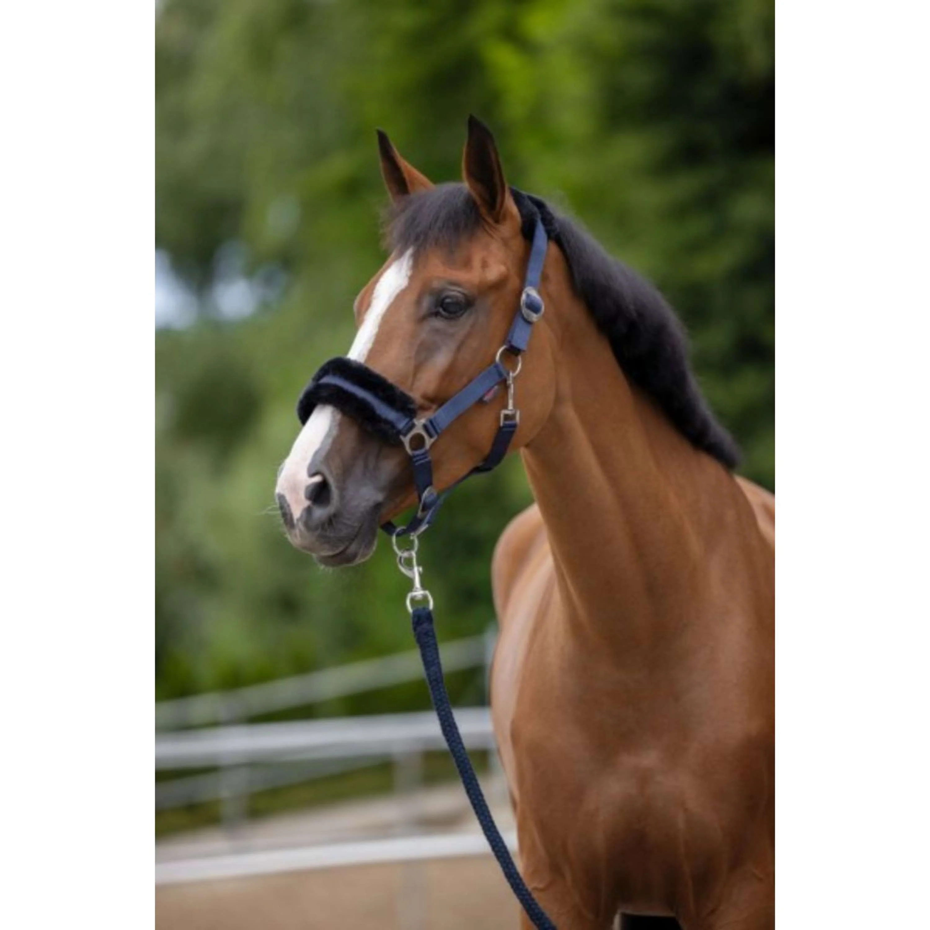 Covalliero Halfter ClassicSoft Navy - Image 2