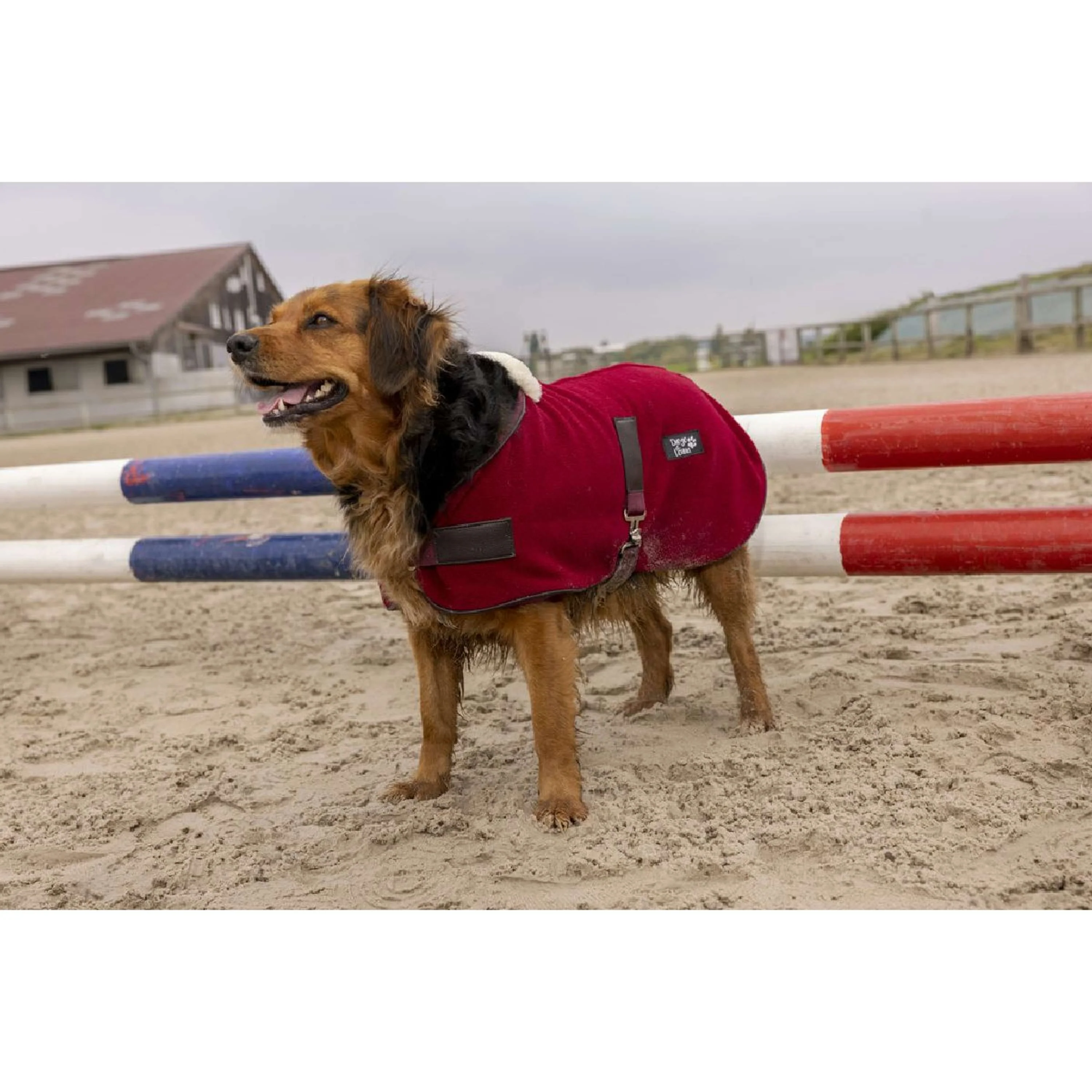 Diego & Louna Hundedecke Polar Bordeaux - Image 2