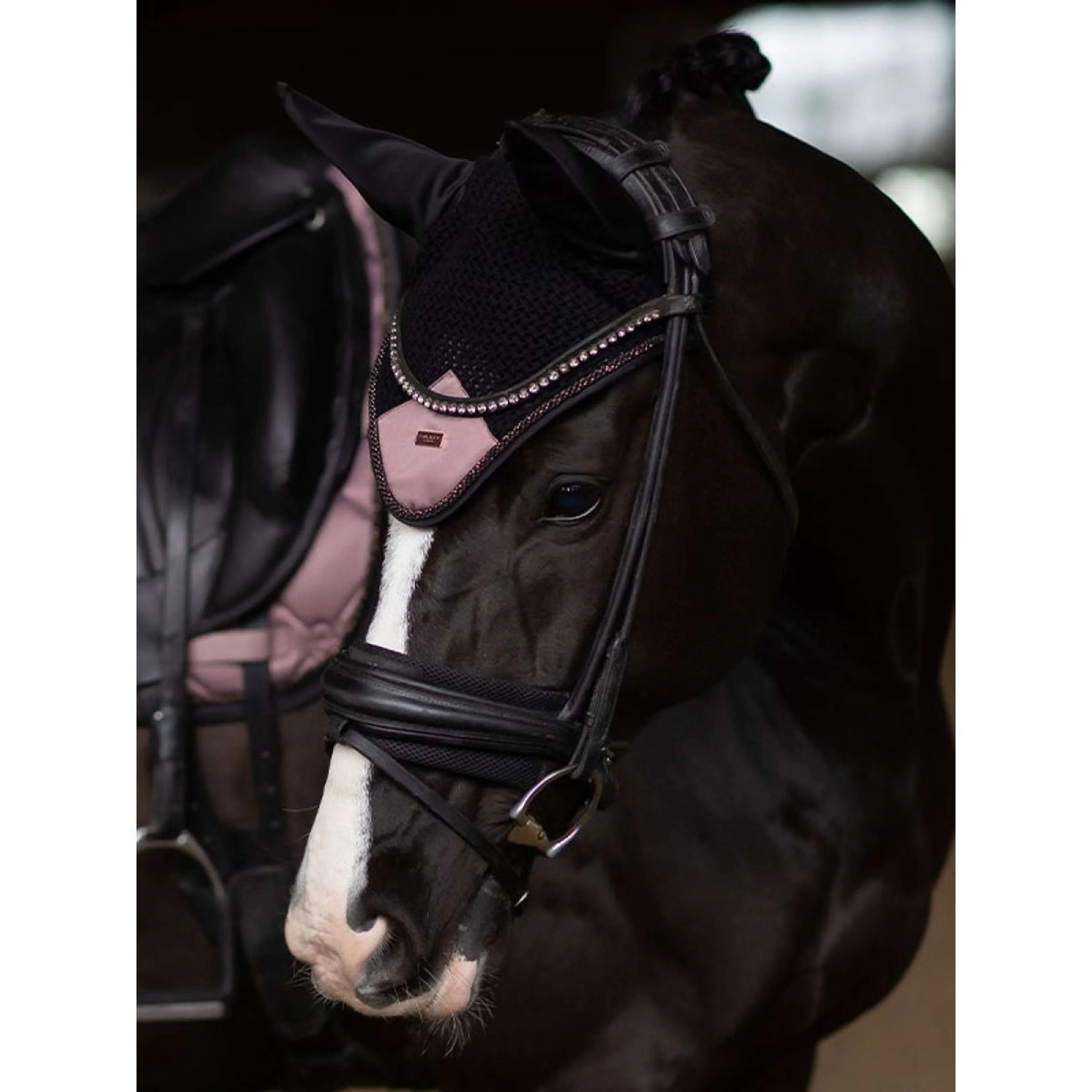 Equestrian Stockholm Fliegenhaube Anemone - Image 2