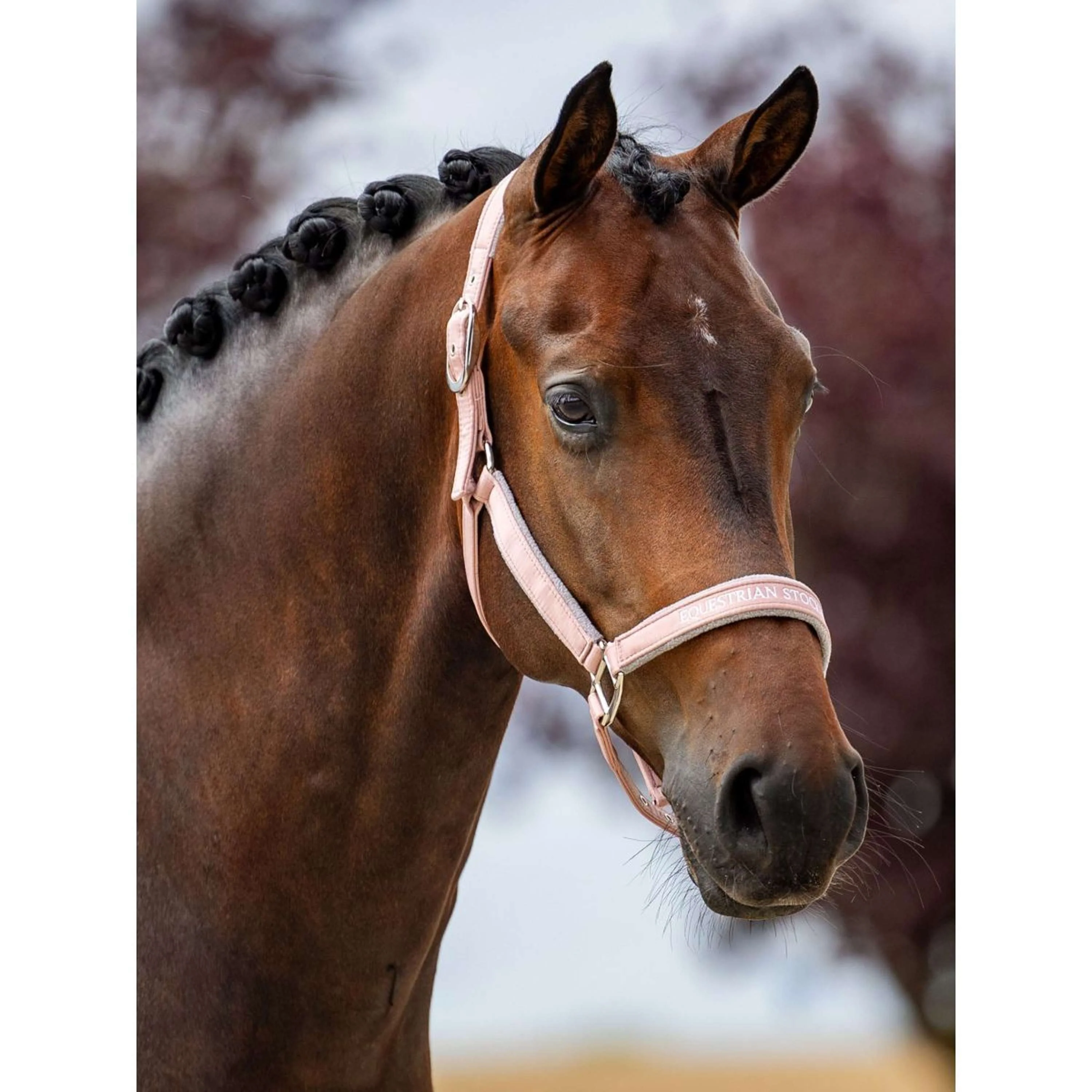 Equestrian Stockholm Halfter Line Rosa - Image 2