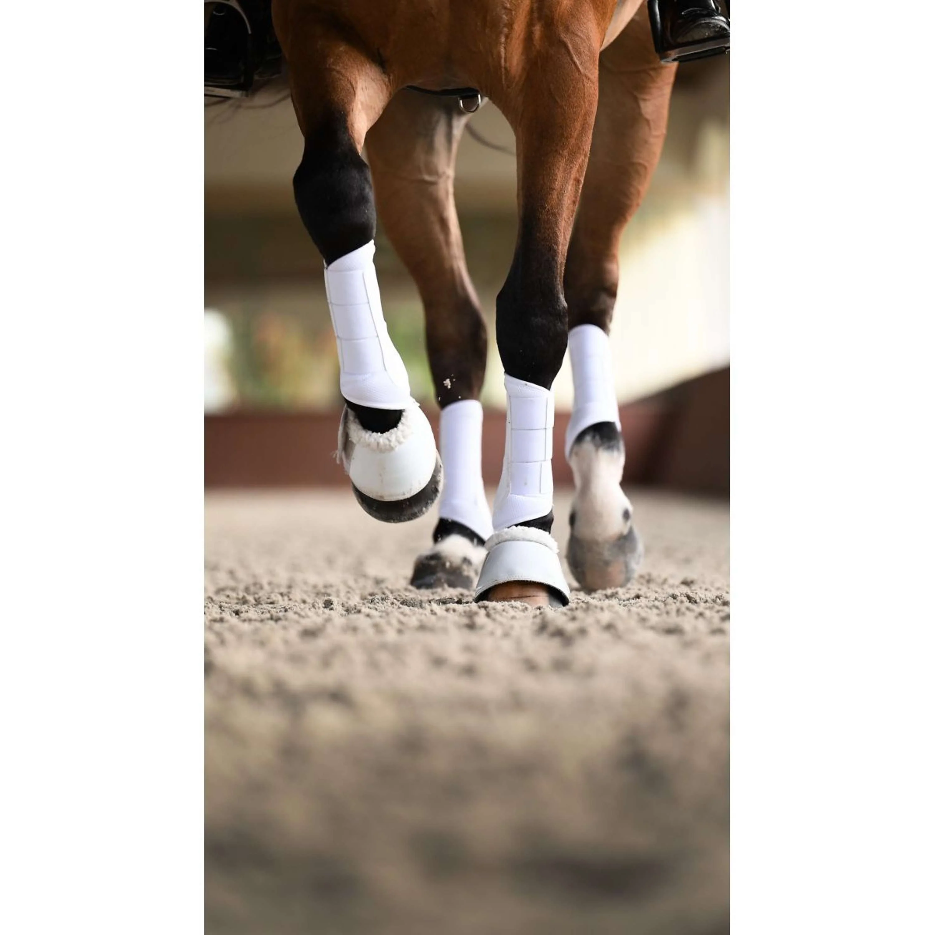Equestrian Stockholm Hufglocken White Silver - Image 7