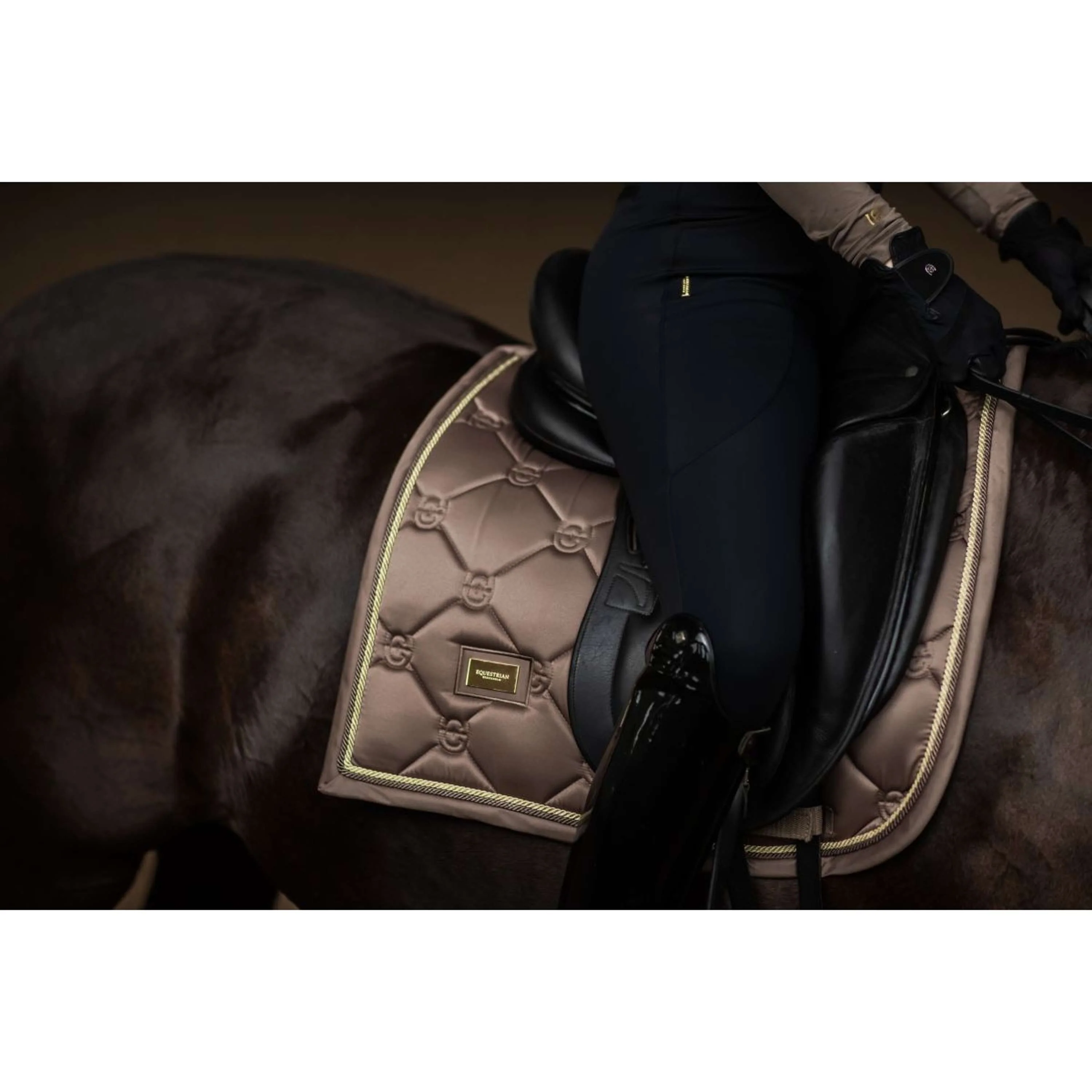 Equestrian Stockholm Schabracke Dressur Champagne - Image 2