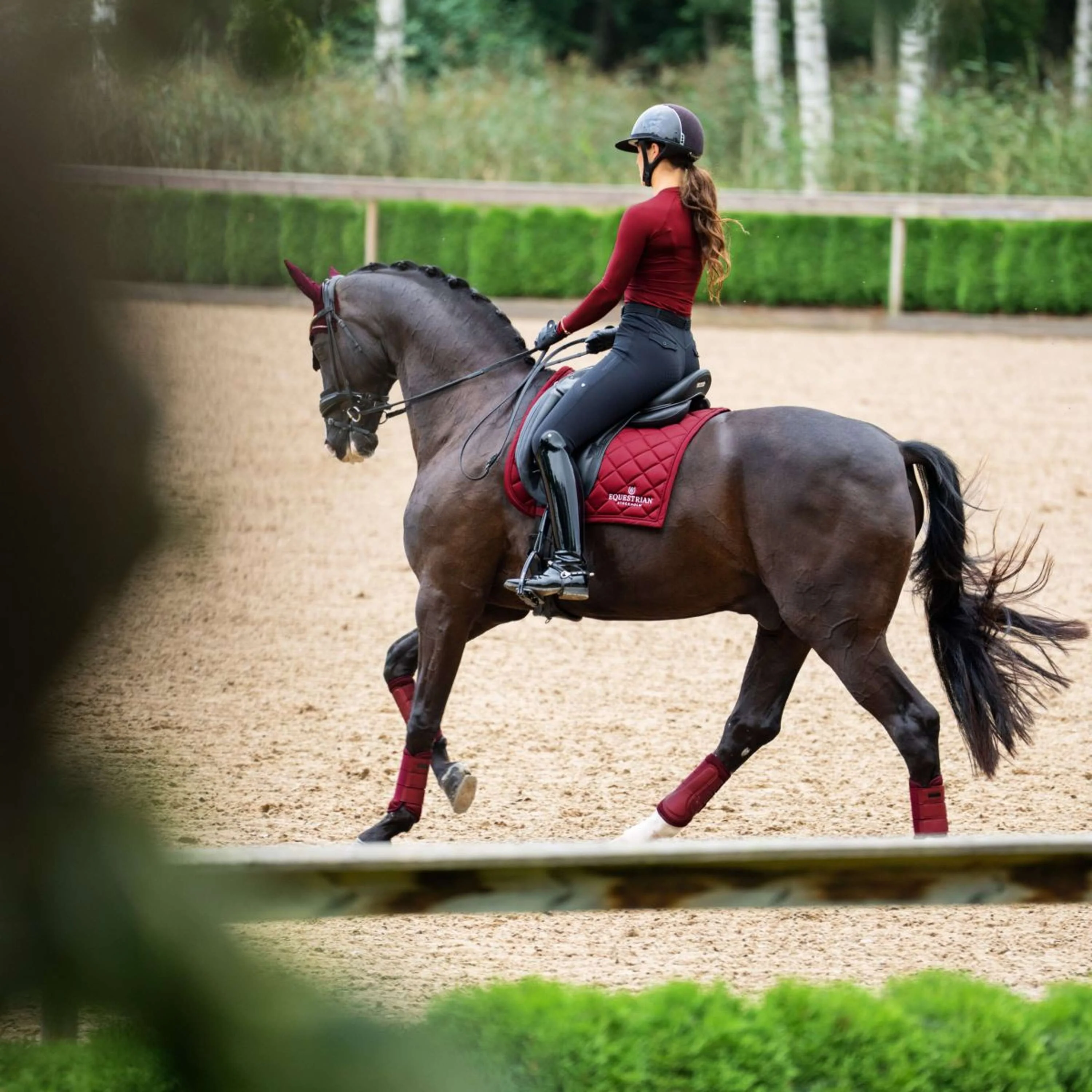 Equestrian Stockholm Schabracke Line Dressur Bordeaux - Image 5