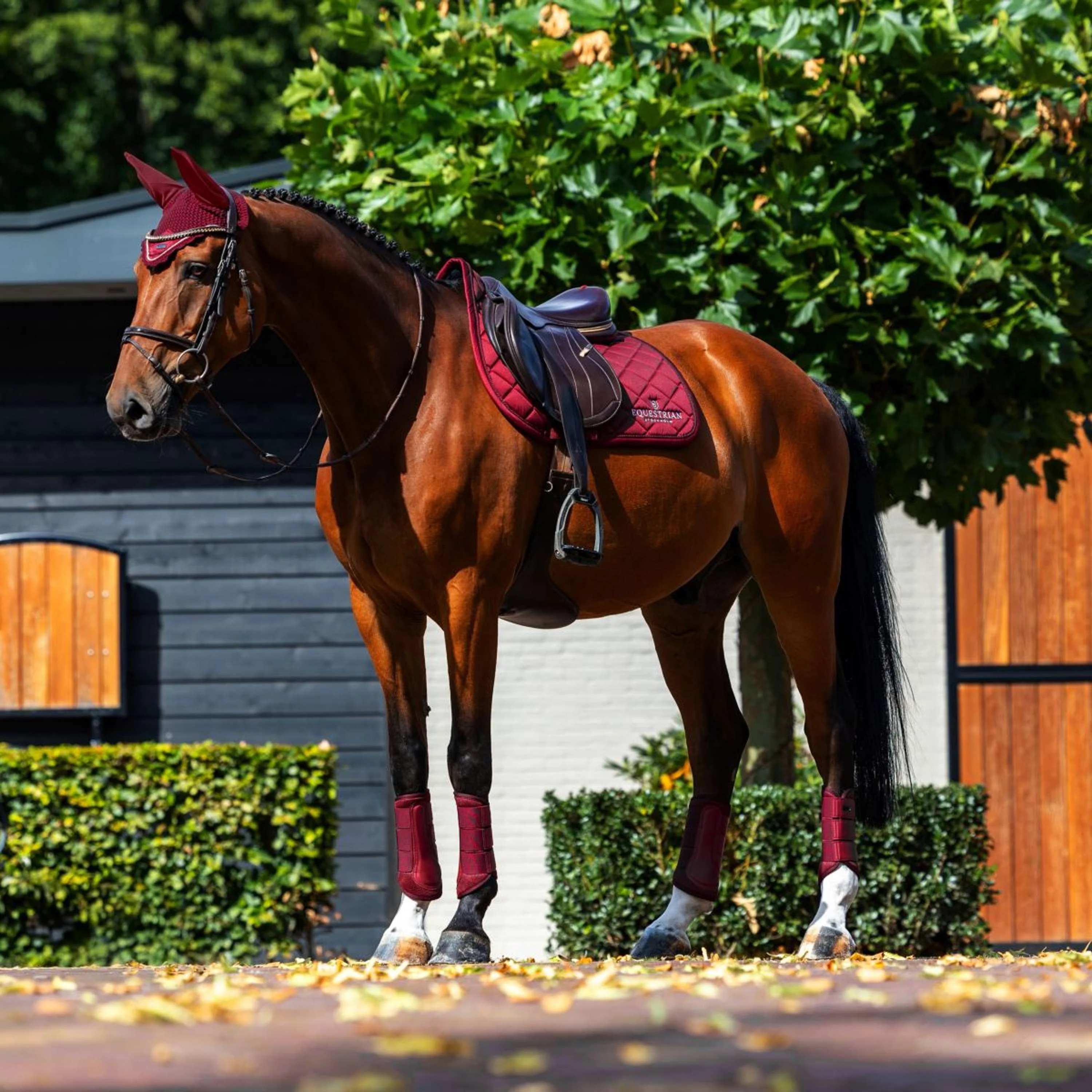 Equestrian Stockholm Schabracke Line Springen Bordeaux - Image 3