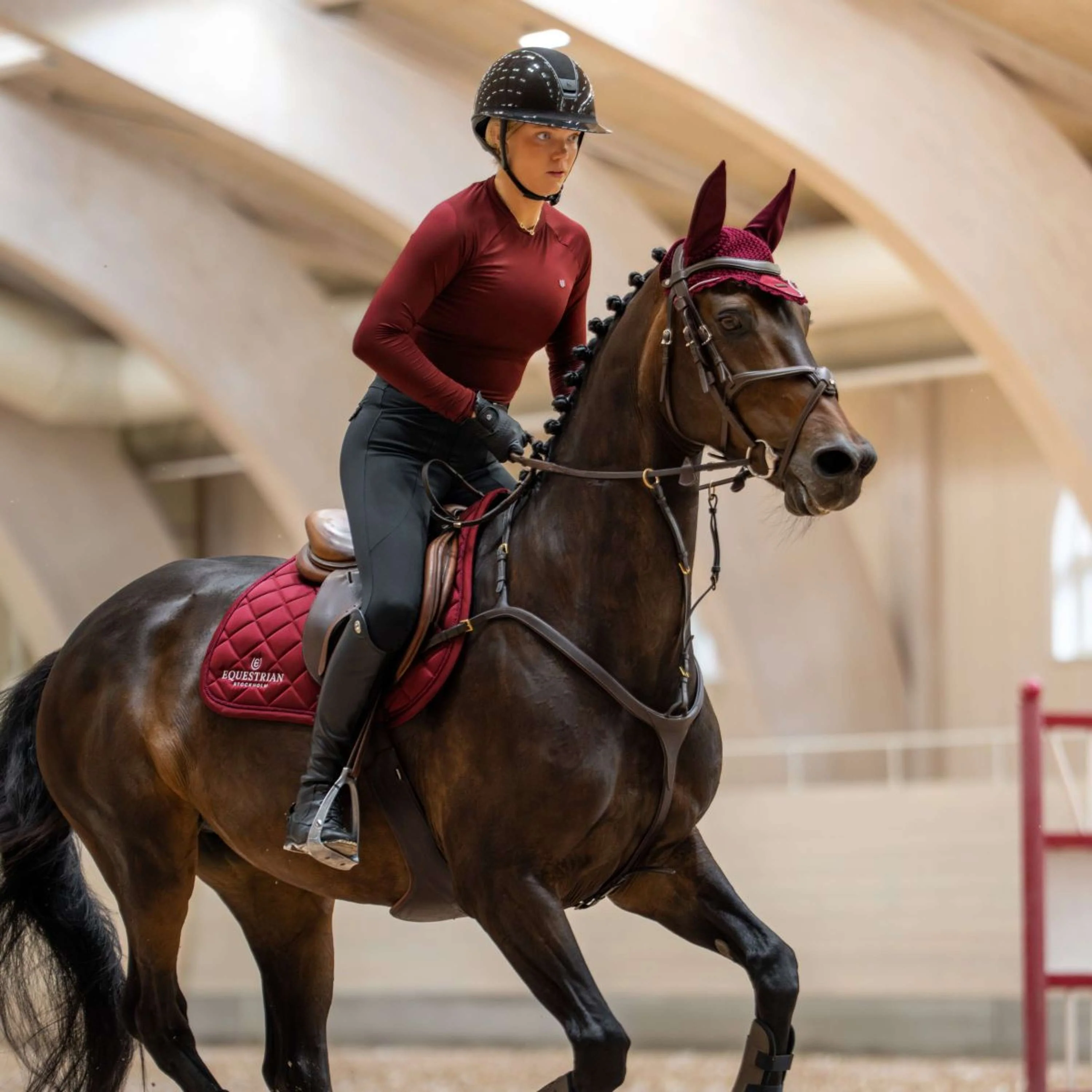 Equestrian Stockholm Schabracke Line Springen Bordeaux - Image 5