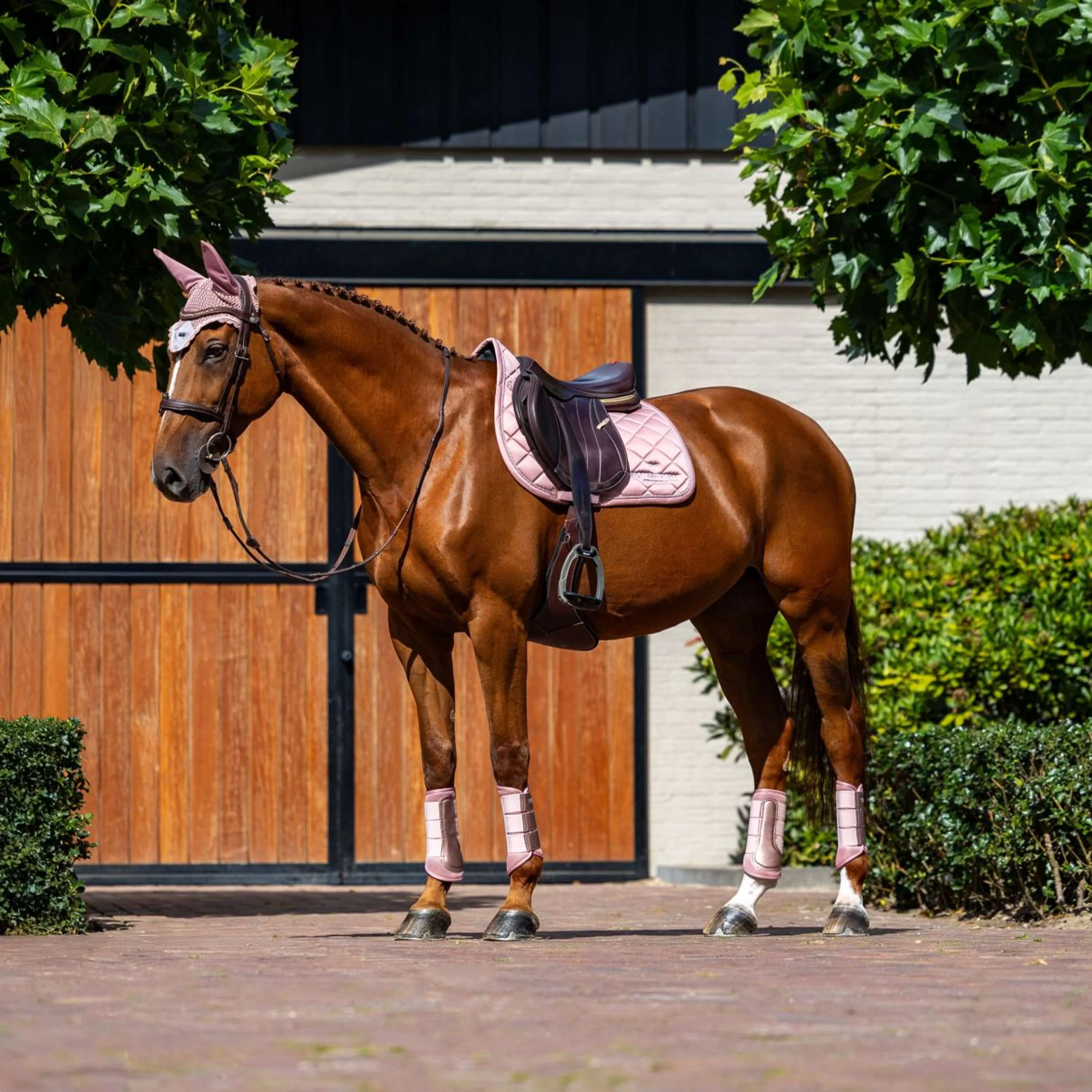 Equestrian Stockholm Schabracke Line Springen Rosa - Image 3