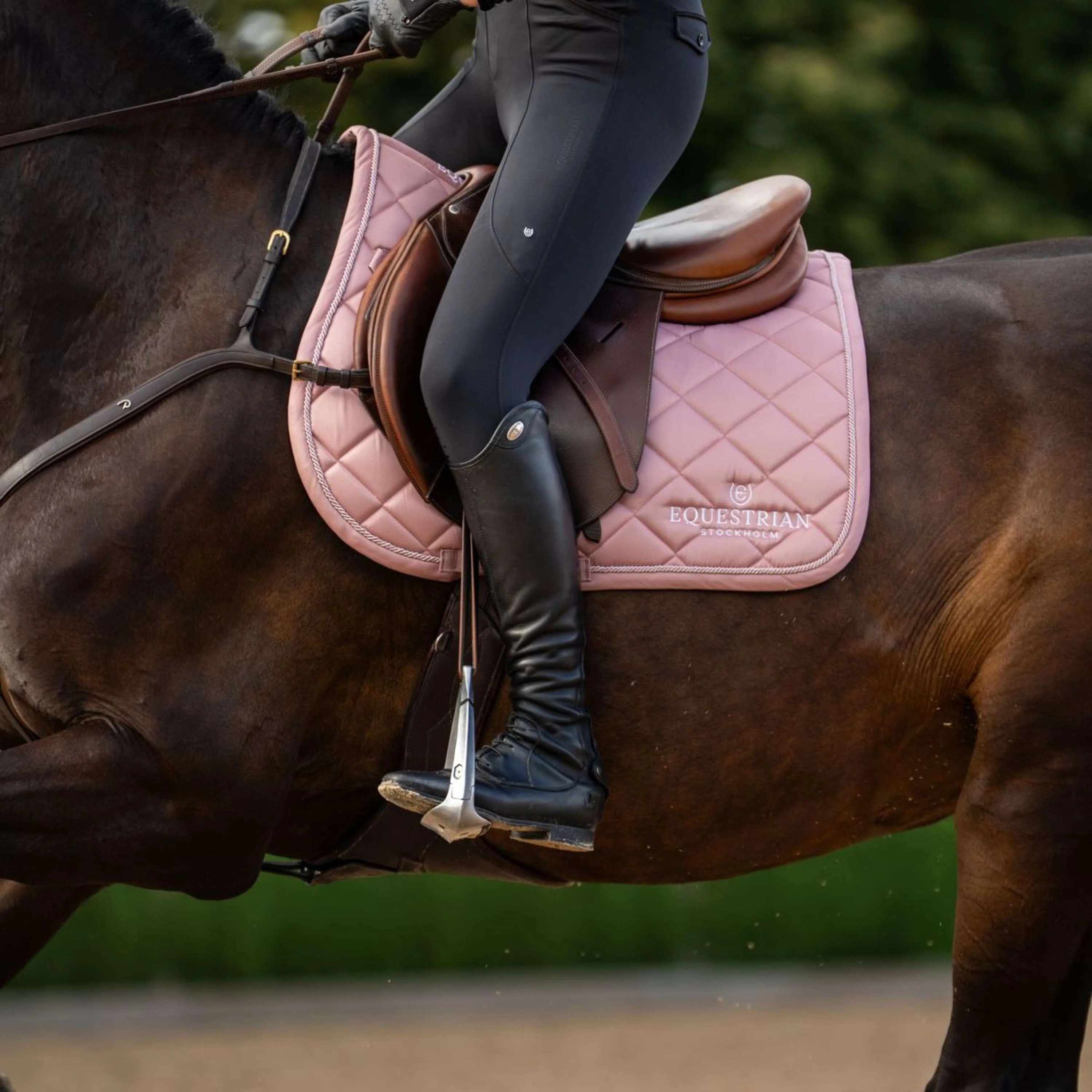 Equestrian Stockholm Schabracke Line Springen Rosa - Image 6