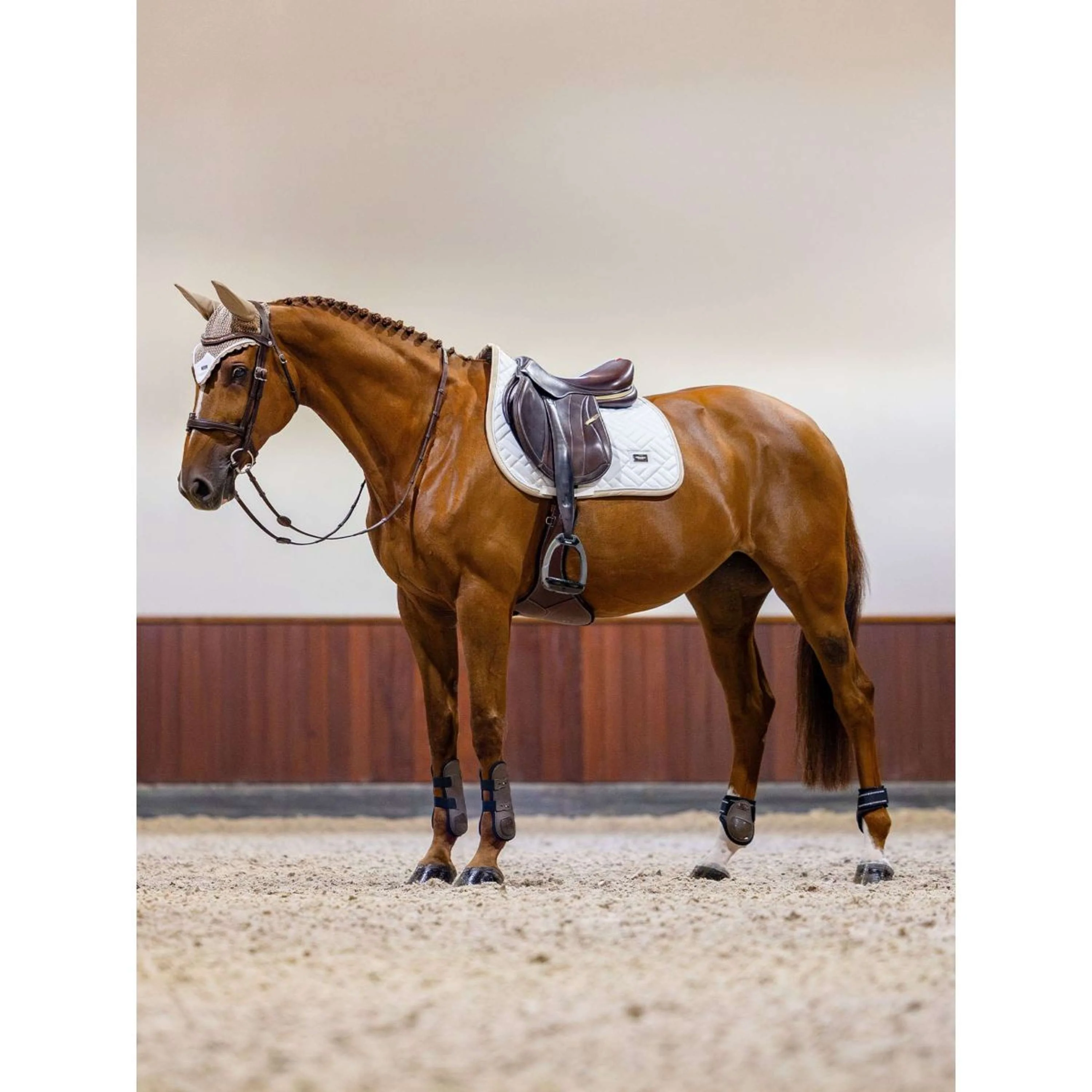 Equestrian Stockholm Schabracke Modern Springen White Sand - Image 3