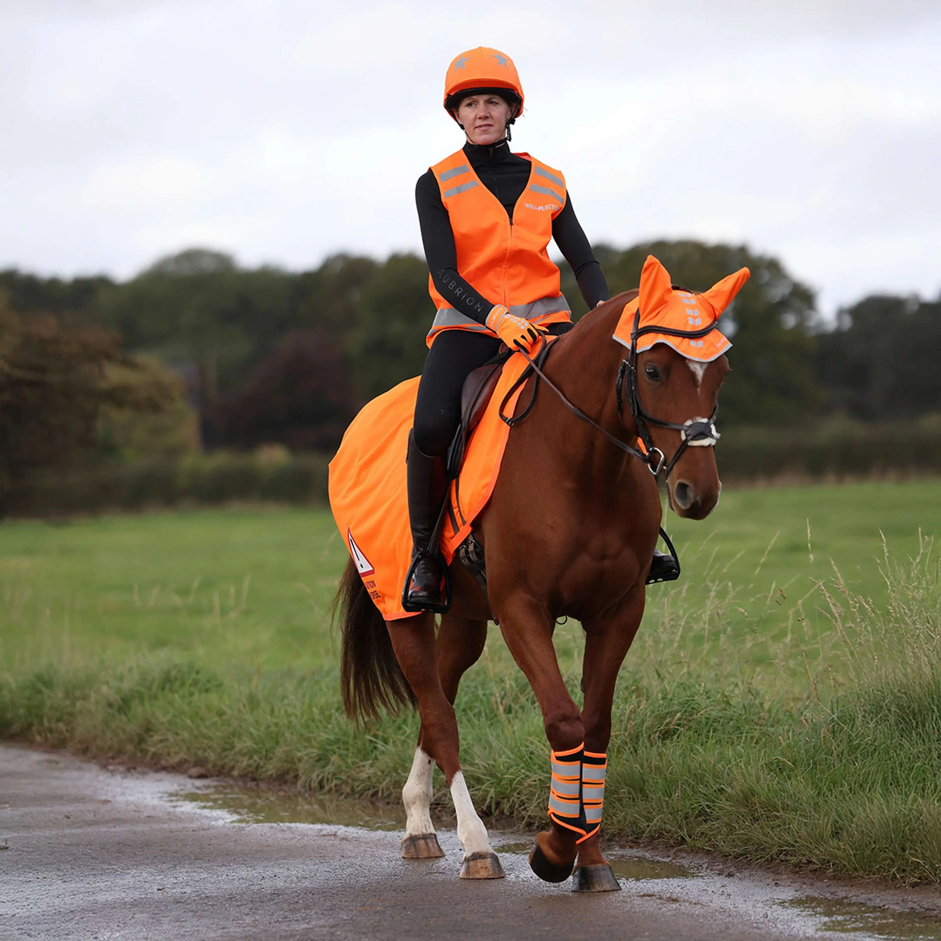 Equi-Flector by Shires Ausreitdecke Mesh Reflektierend Orange - Image 4