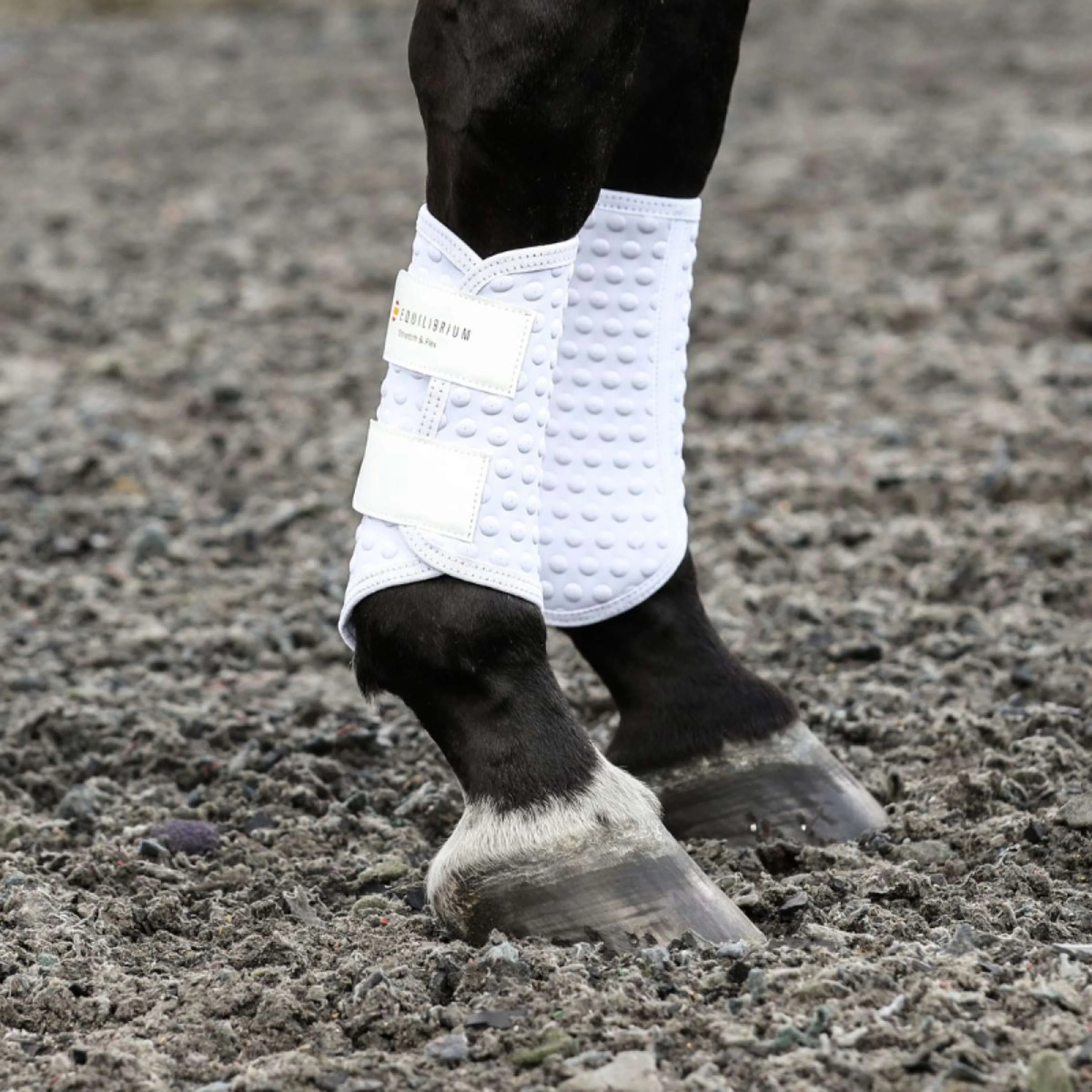 Equilibrium Gamaschen Stretch & Flex Flatwork Weiß - Image 2