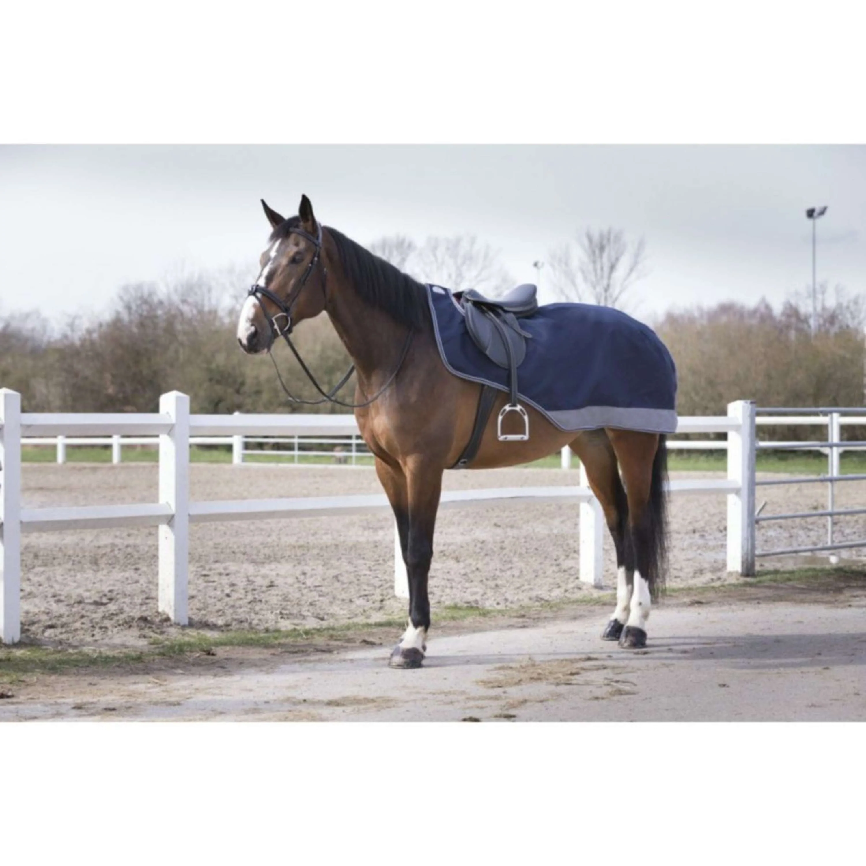 EQUITHÈME Ausreitdecke Tyrex Polar Fleece 600D Navy/Grau Dots - Image 6