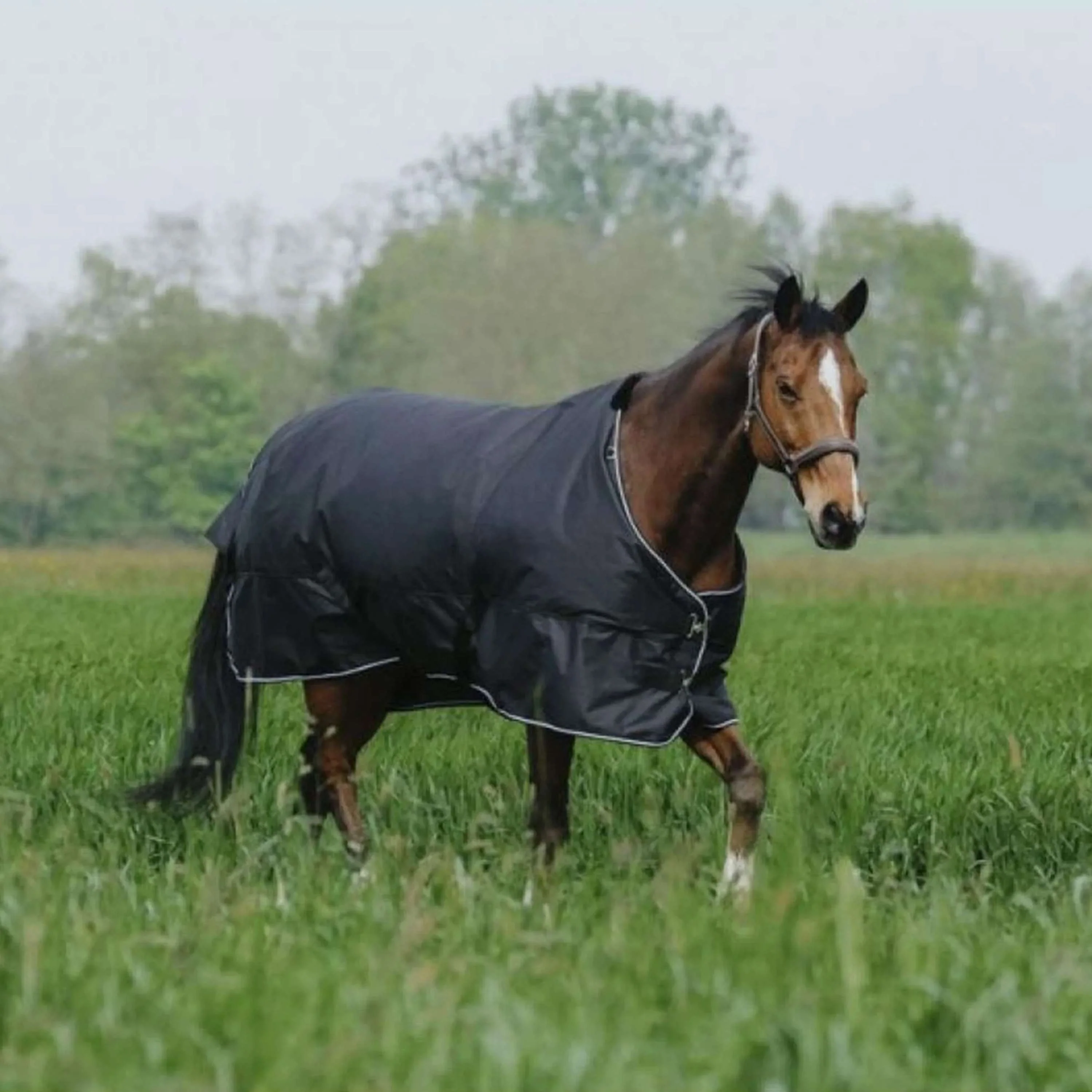 EQUITHÈME Outdoordecke Tyrex 600D Standard 150g Schwarz - Image 3