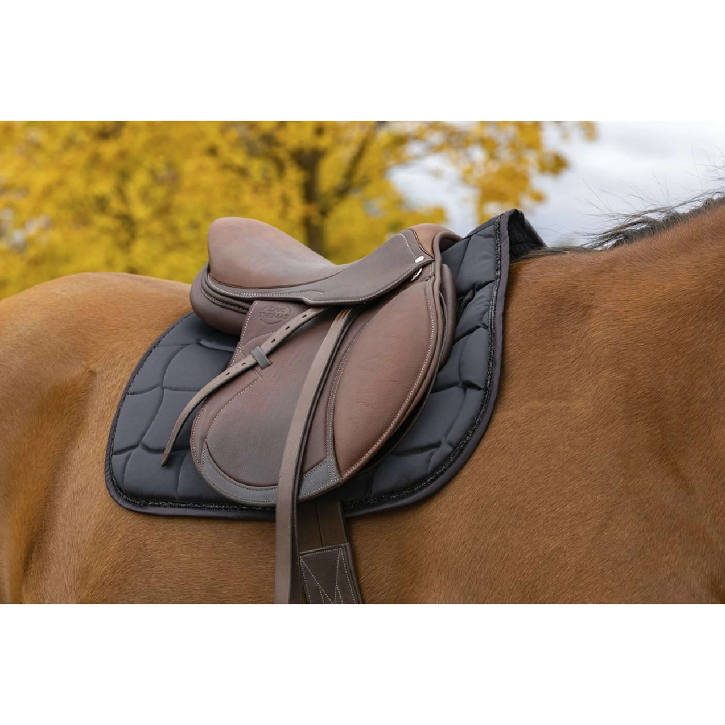 EQUITHÈME Schabracke Satin Dressur Schwarz - Image 2