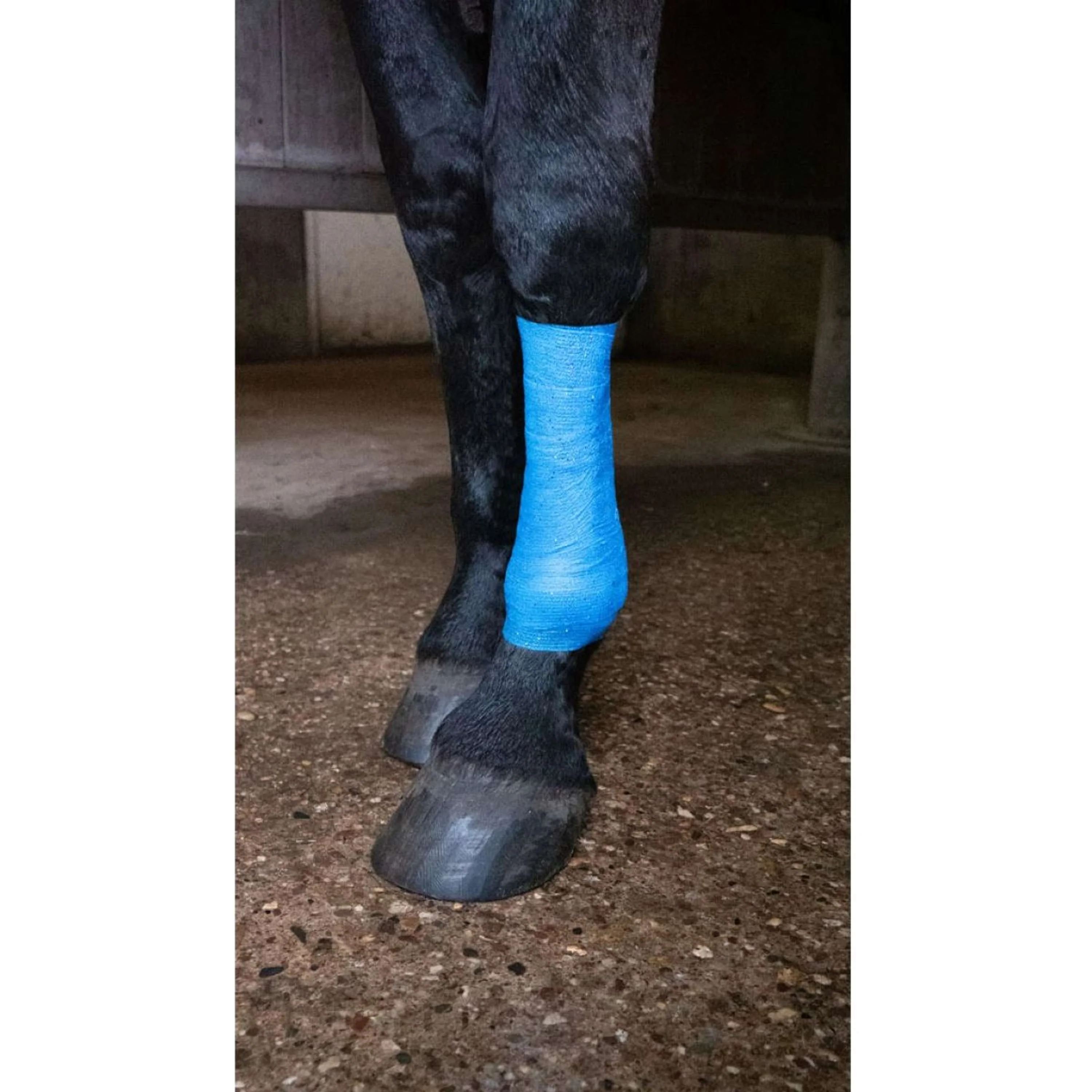 Excellent Bandage Animal Profi Glitter Blau - Image 4