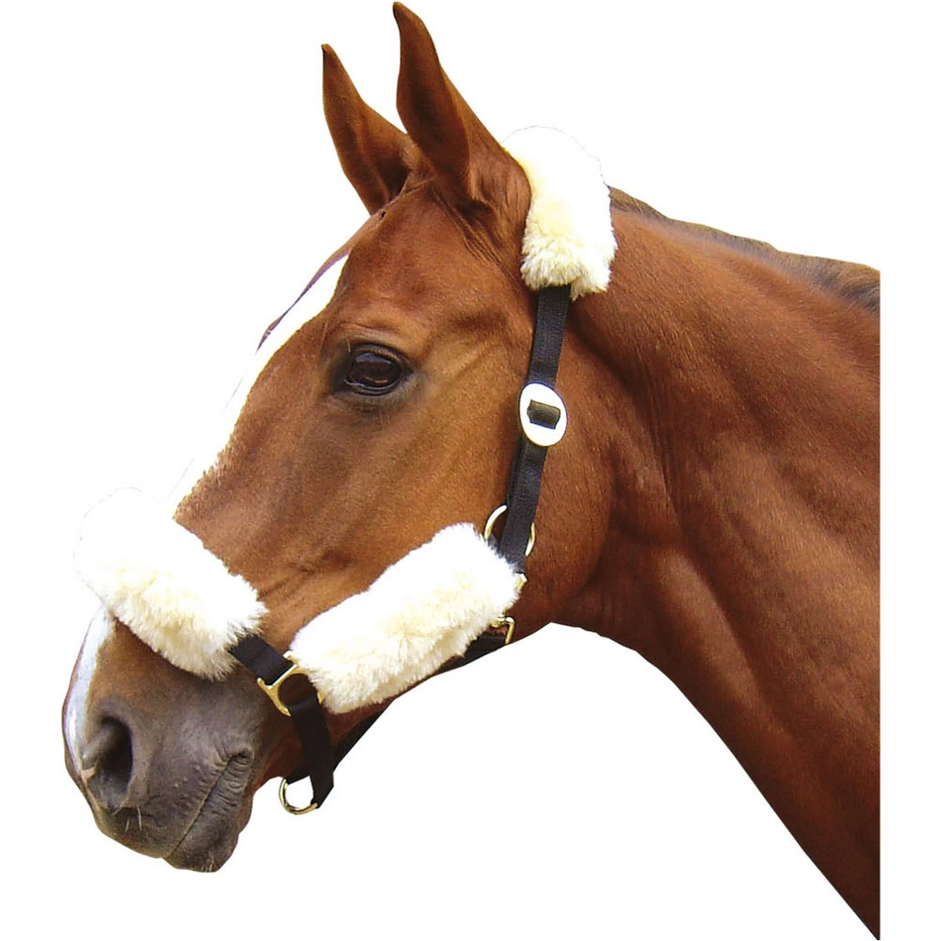 Harry's Horse Halfter Lammfell Set Naturell - Image 2