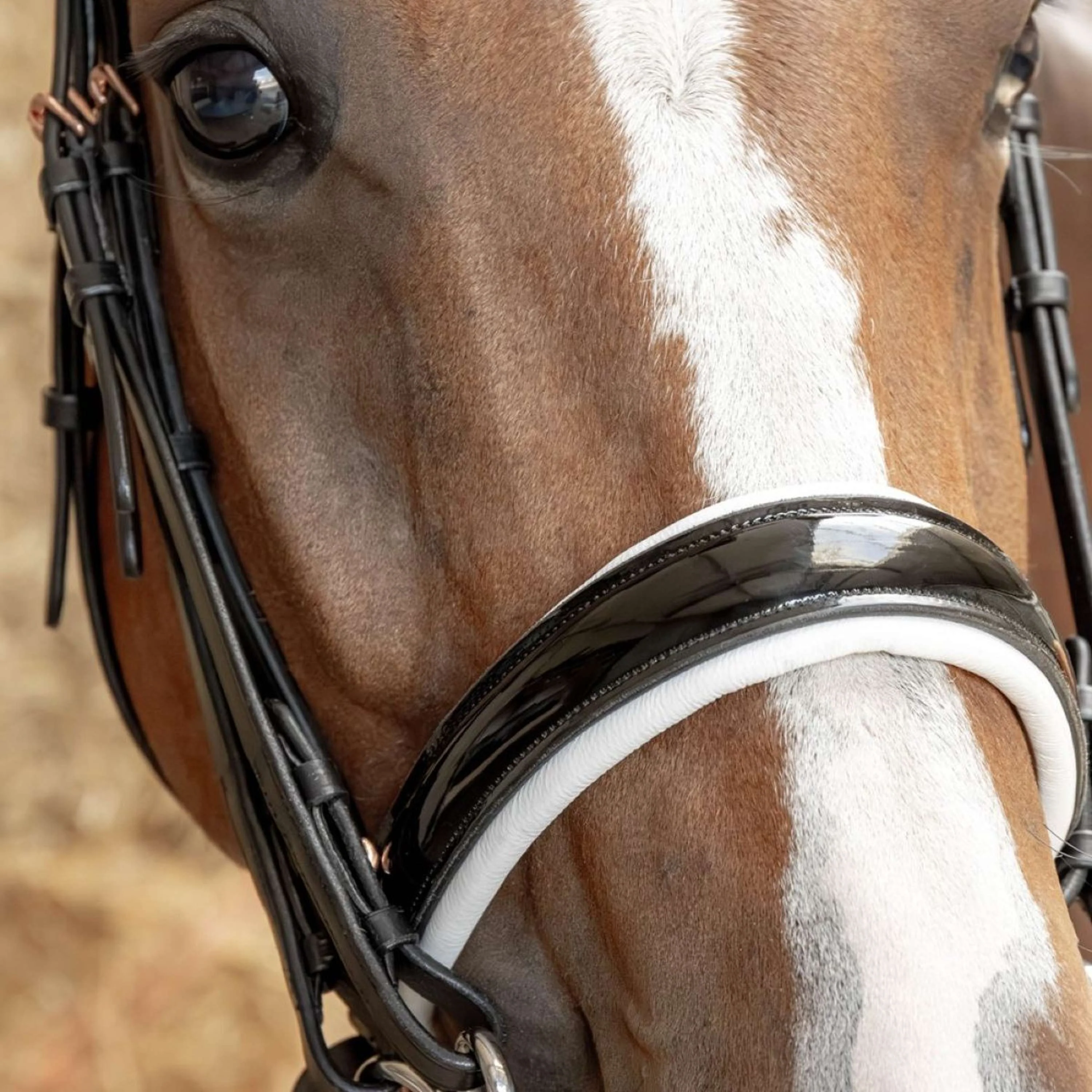 Harry's Horse Kandarenzaum Soft Rosegold Schwarz - Image 2